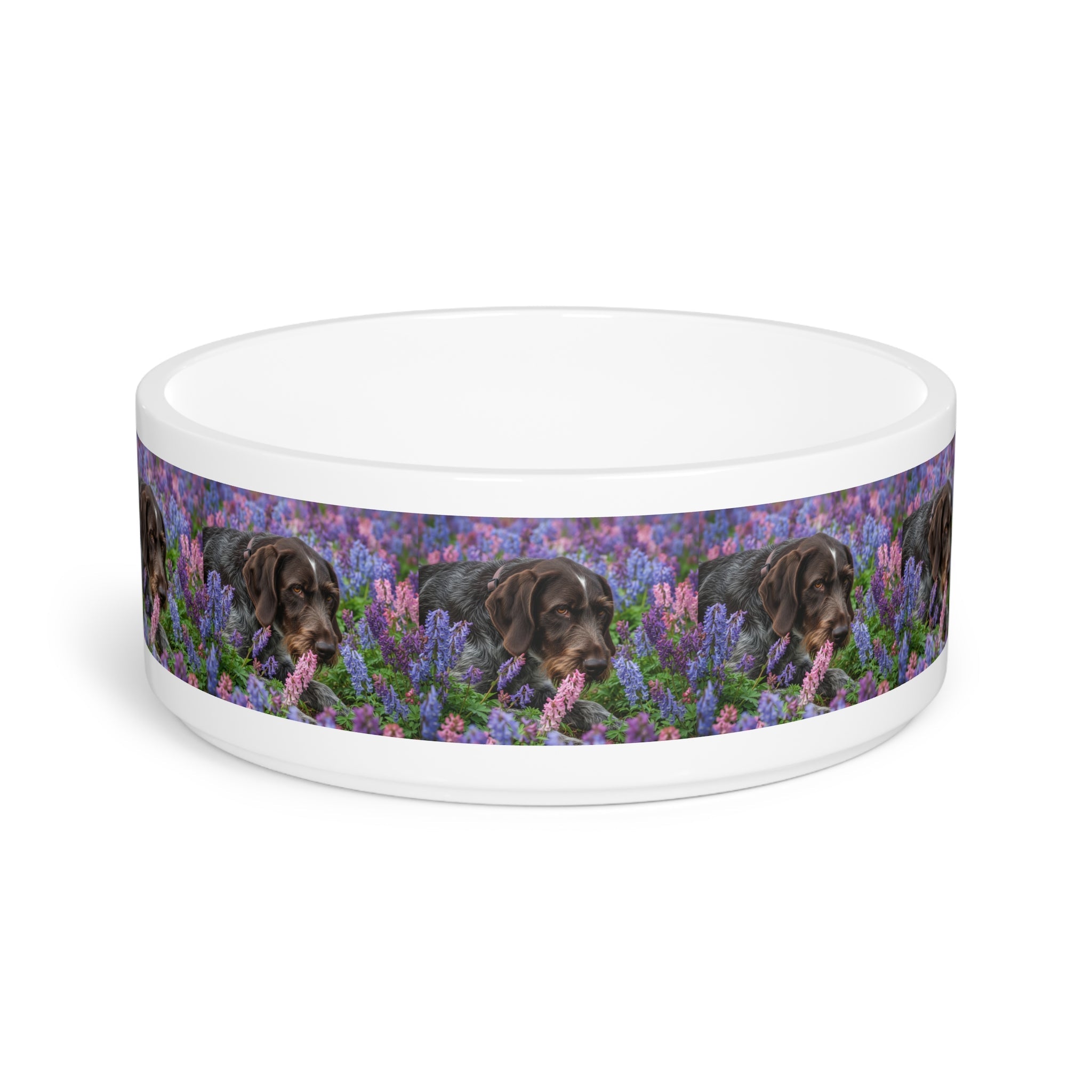 Ceramic Pet Bowl – 16 oz Dog Feeding Bowl