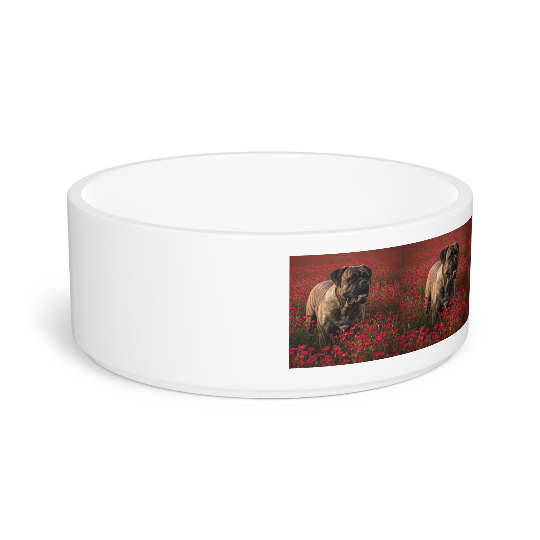 Ceramic Pet Bowl – 16 oz Dog Feeding Bowl