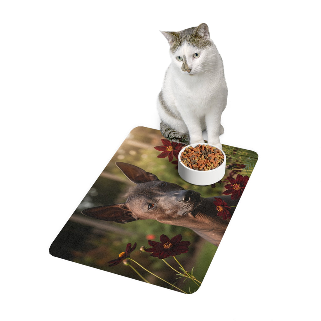 Non-Slip Pet Food Mat – Waterproof Feeding Mat for Dogs