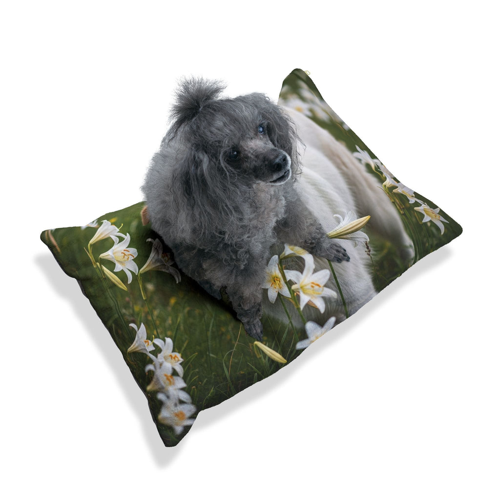 Pet Bed – Plush Dog Bed, 3 Size Options