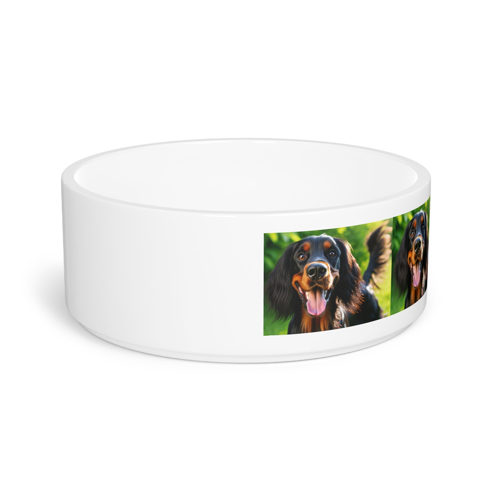 Ceramic Pet Bowl – 16 oz Dog Feeding Bowl