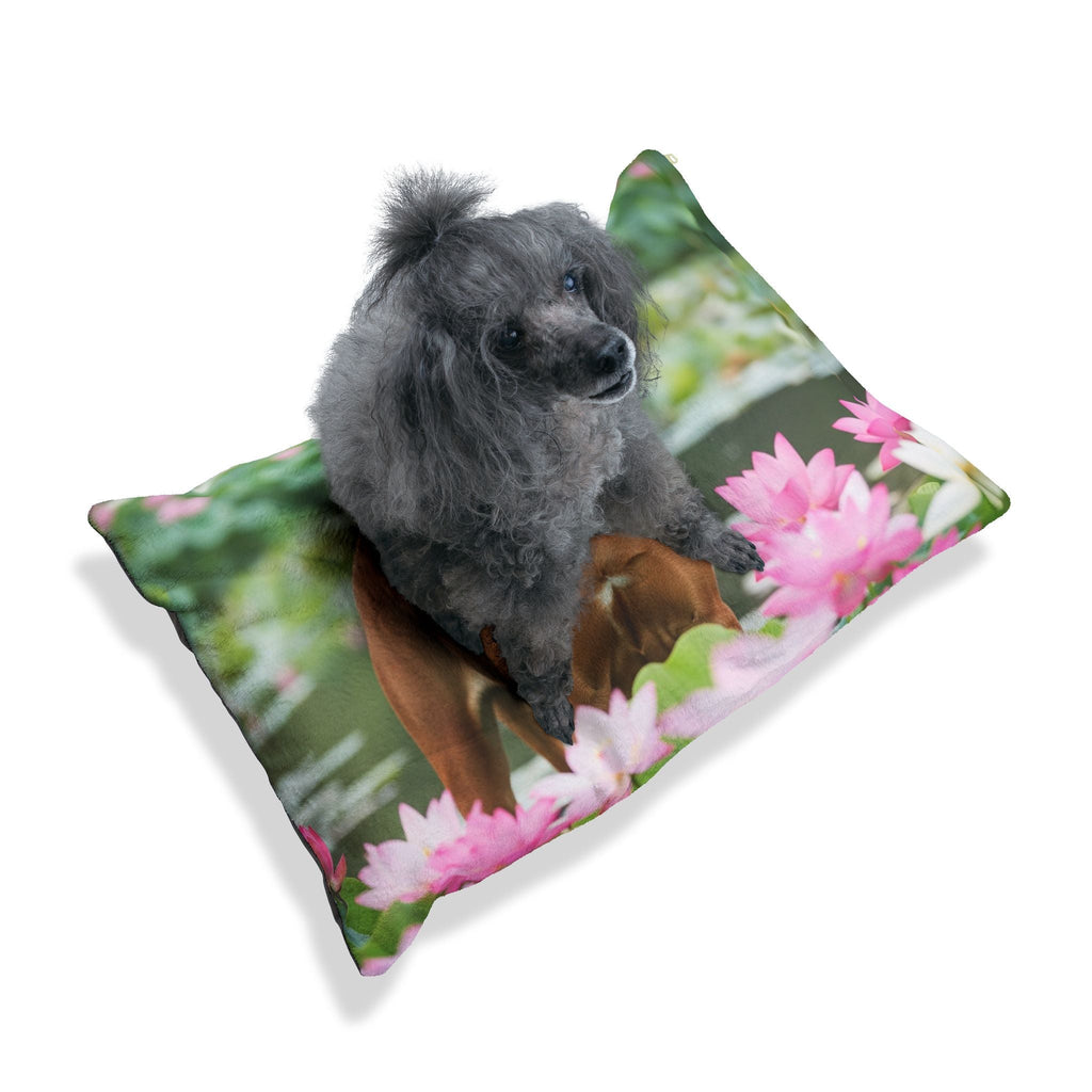 Pet Bed – Plush Dog Bed, 3 Size Options