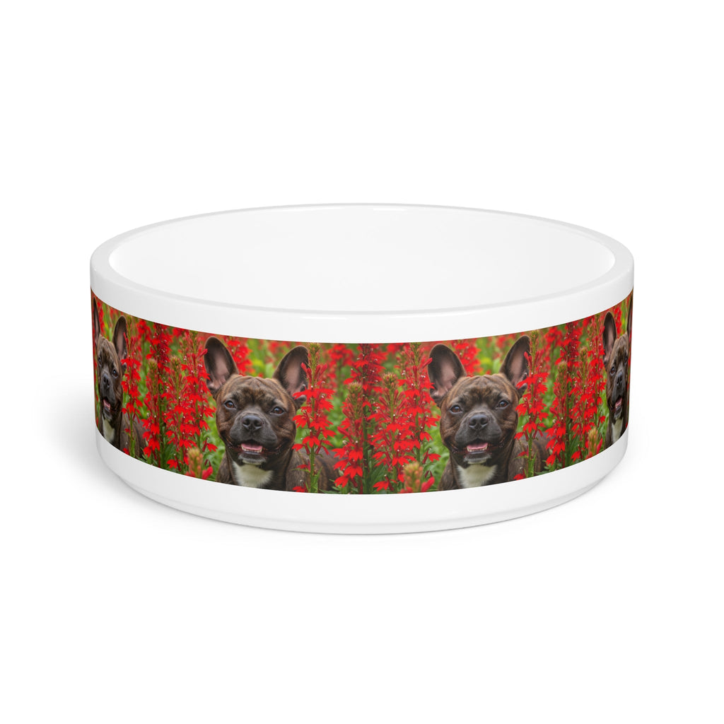 Ceramic Pet Bowl – 16 oz Dog Feeding Bowl