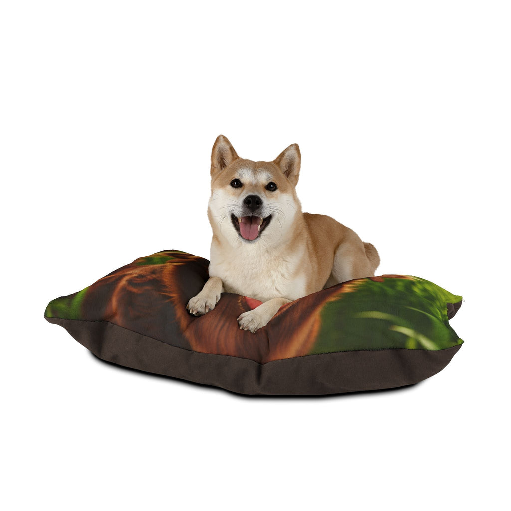 Pet Bed – Plush Dog Bed, 3 Size Options