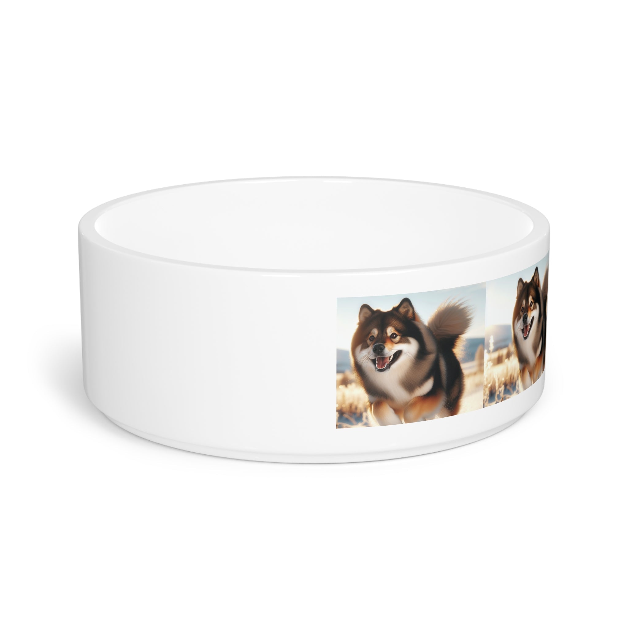 Ceramic Pet Bowl – 16 oz Dog Feeding Bowl