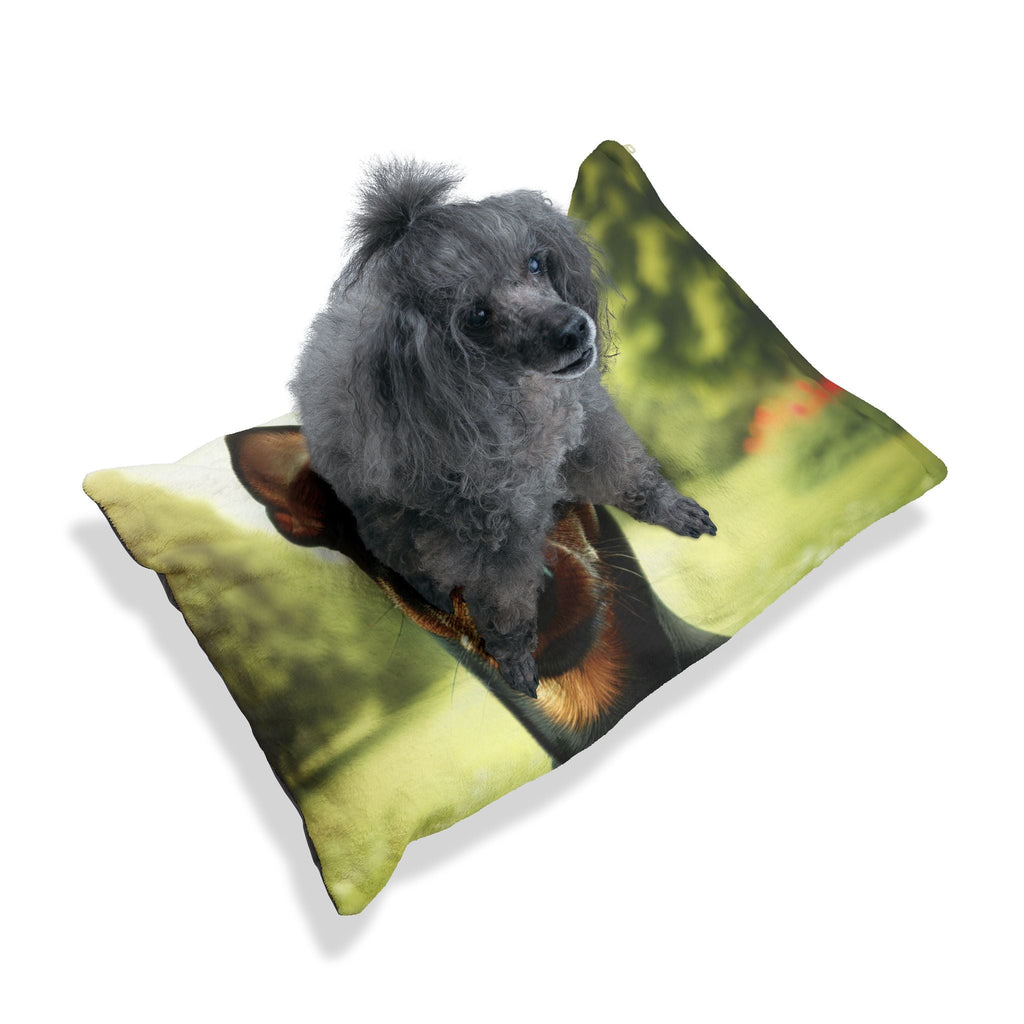 Pet Bed – Plush Dog Bed, 3 Size Options