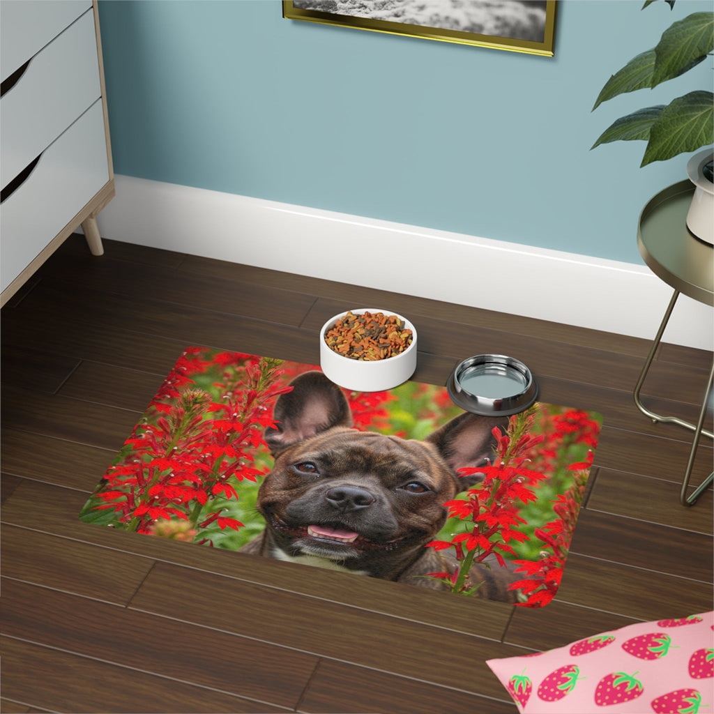 Non-Slip Pet Food Mat – Waterproof Feeding Mat for Dogs