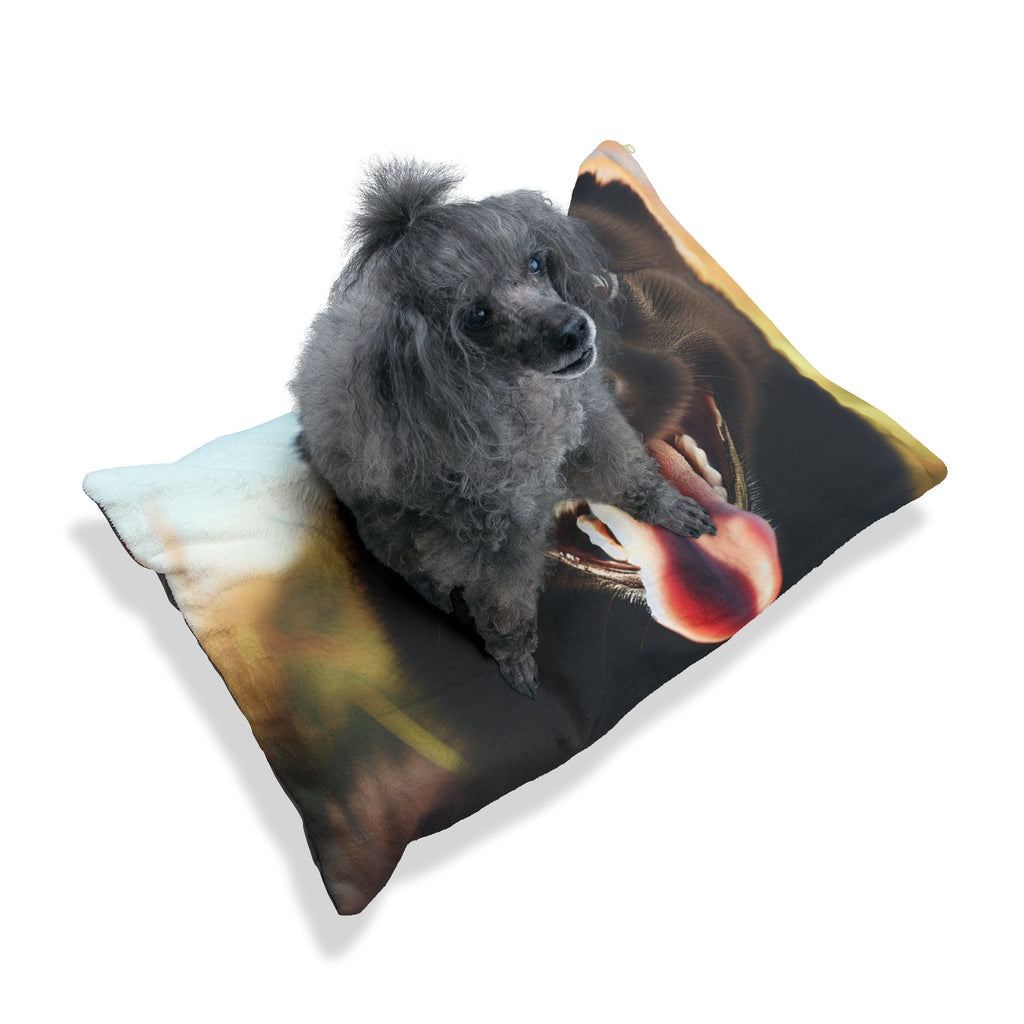 Pet Bed – Plush Dog Bed, 3 Size Options