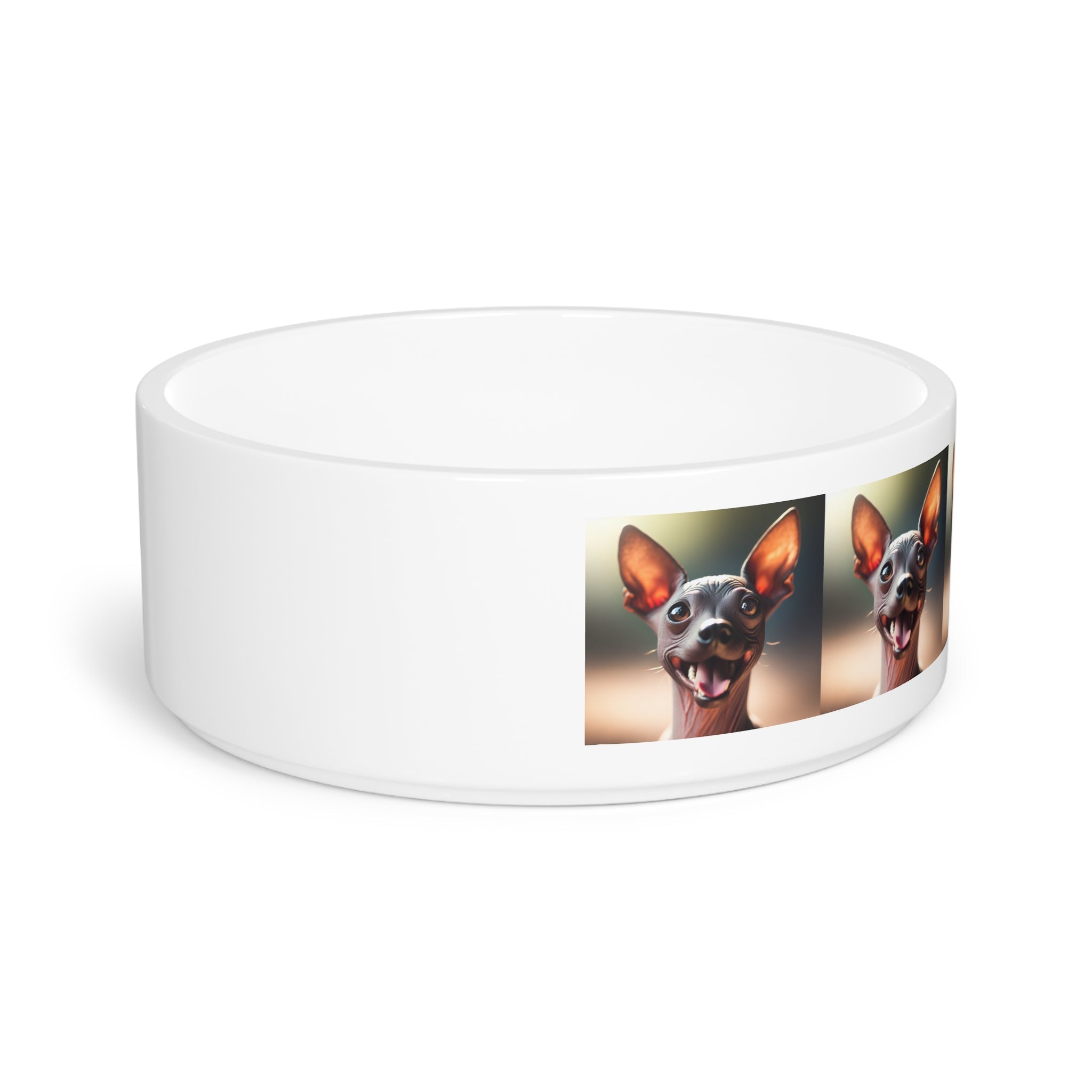 Ceramic Pet Bowl – 16 oz Dog Feeding Bowl