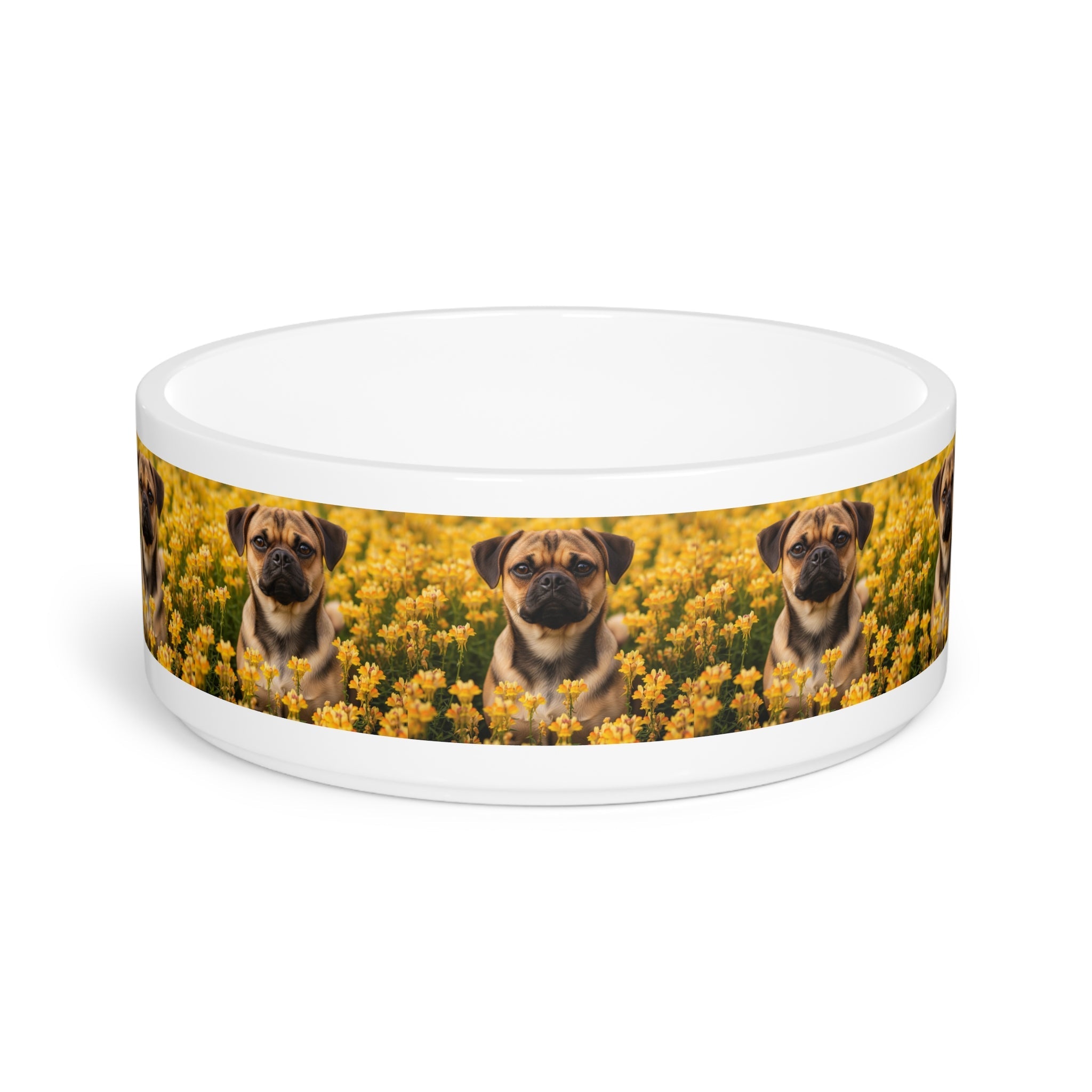 Ceramic Pet Bowl – 16 oz Dog Feeding Bowl