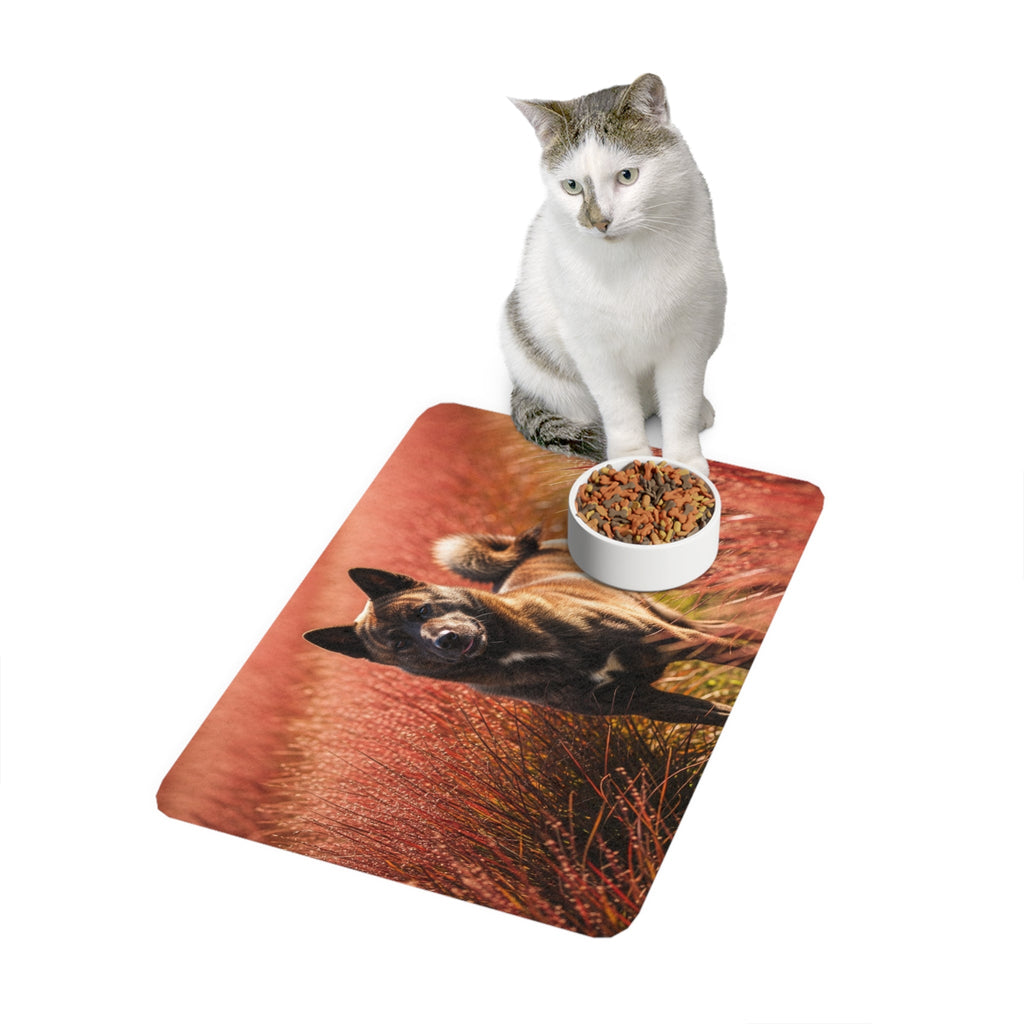 Non-Slip Pet Food Mat – Waterproof Feeding Mat for Dogs