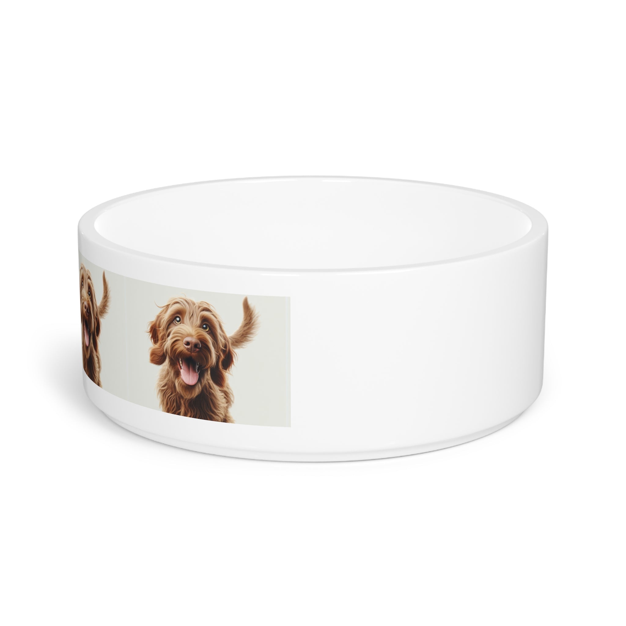 Ceramic Pet Bowl – 16 oz Dog Feeding Bowl
