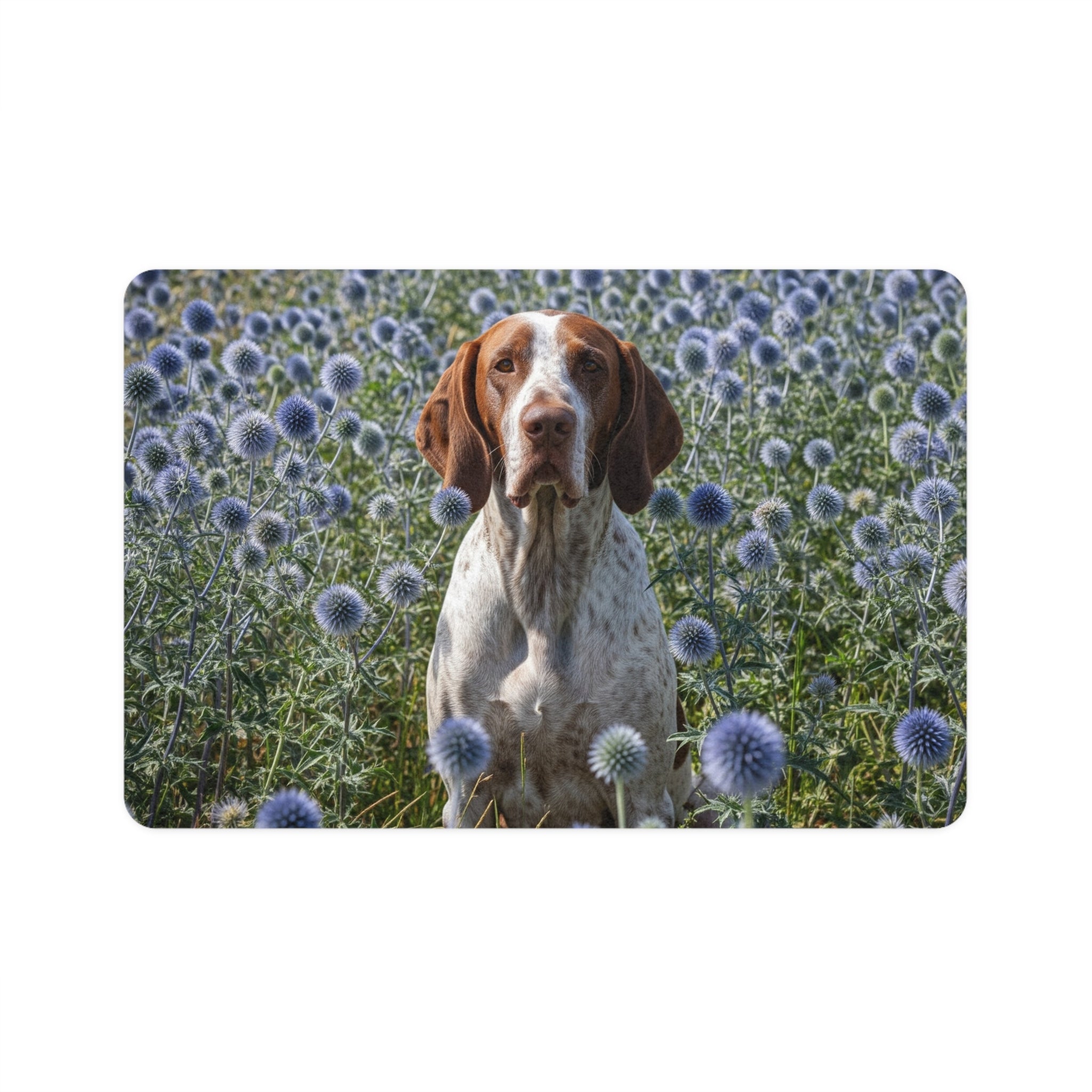 Non-Slip Pet Food Mat – Waterproof Feeding Mat for Dogs
