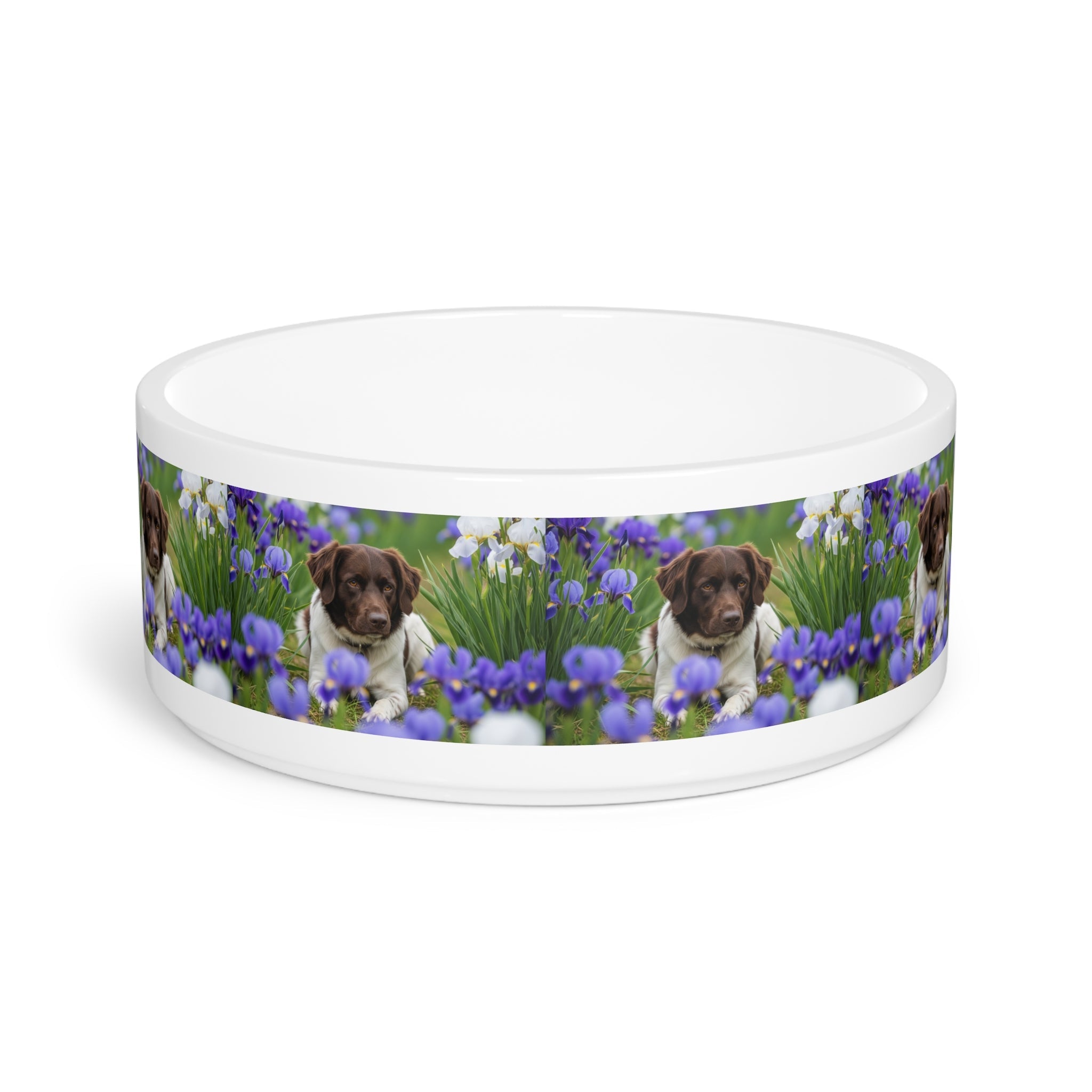 Ceramic Pet Bowl – 16 oz Dog Feeding Bowl