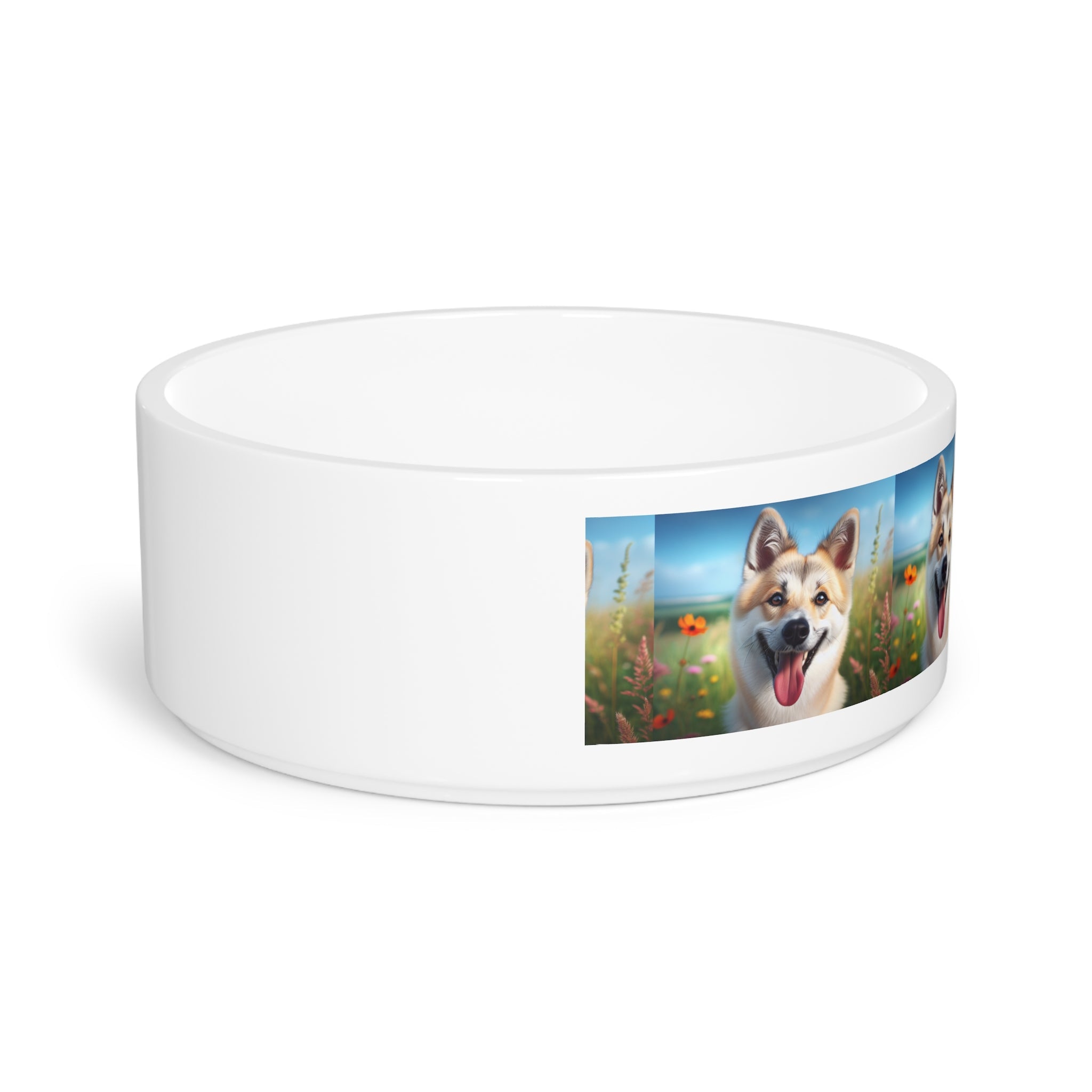 Ceramic Pet Bowl – 16 oz Dog Feeding Bowl