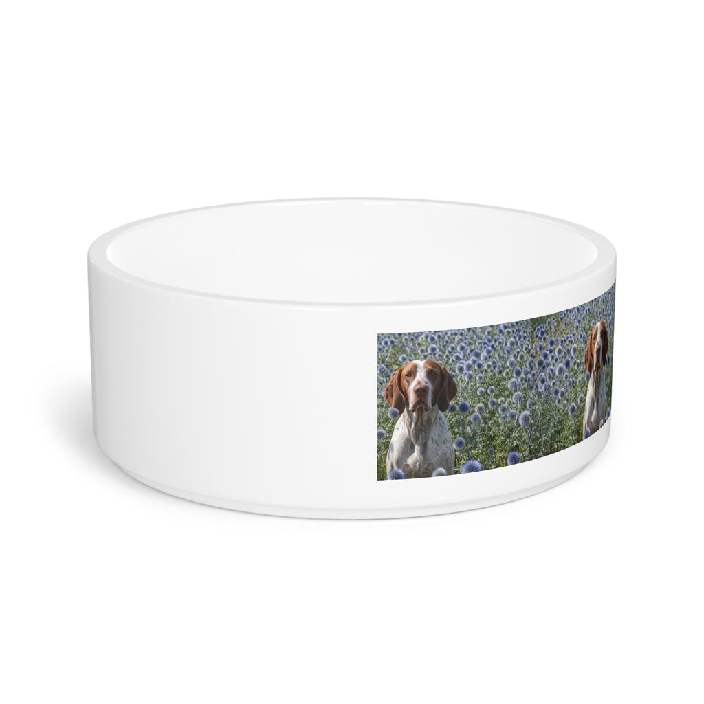Ceramic Pet Bowl – 16 oz Dog Feeding Bowl