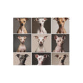 Sweatshirt Blanket – Plush Fleece Throw, 2 Size Options