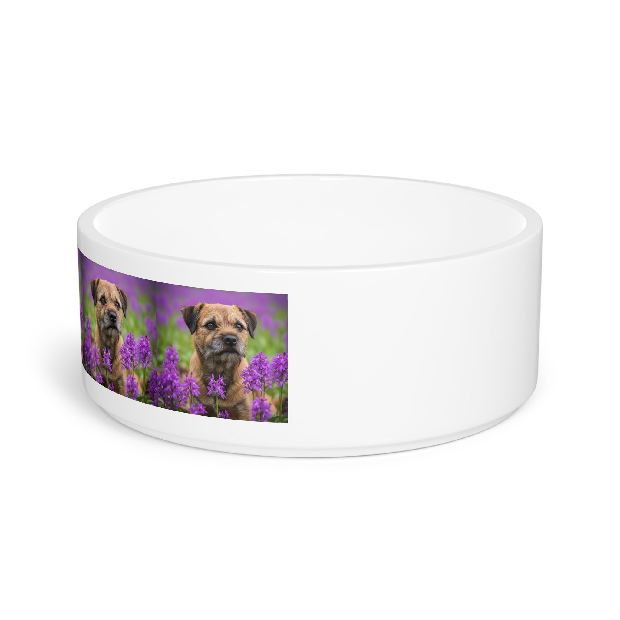 Ceramic Pet Bowl – 16 oz Dog Feeding Bowl