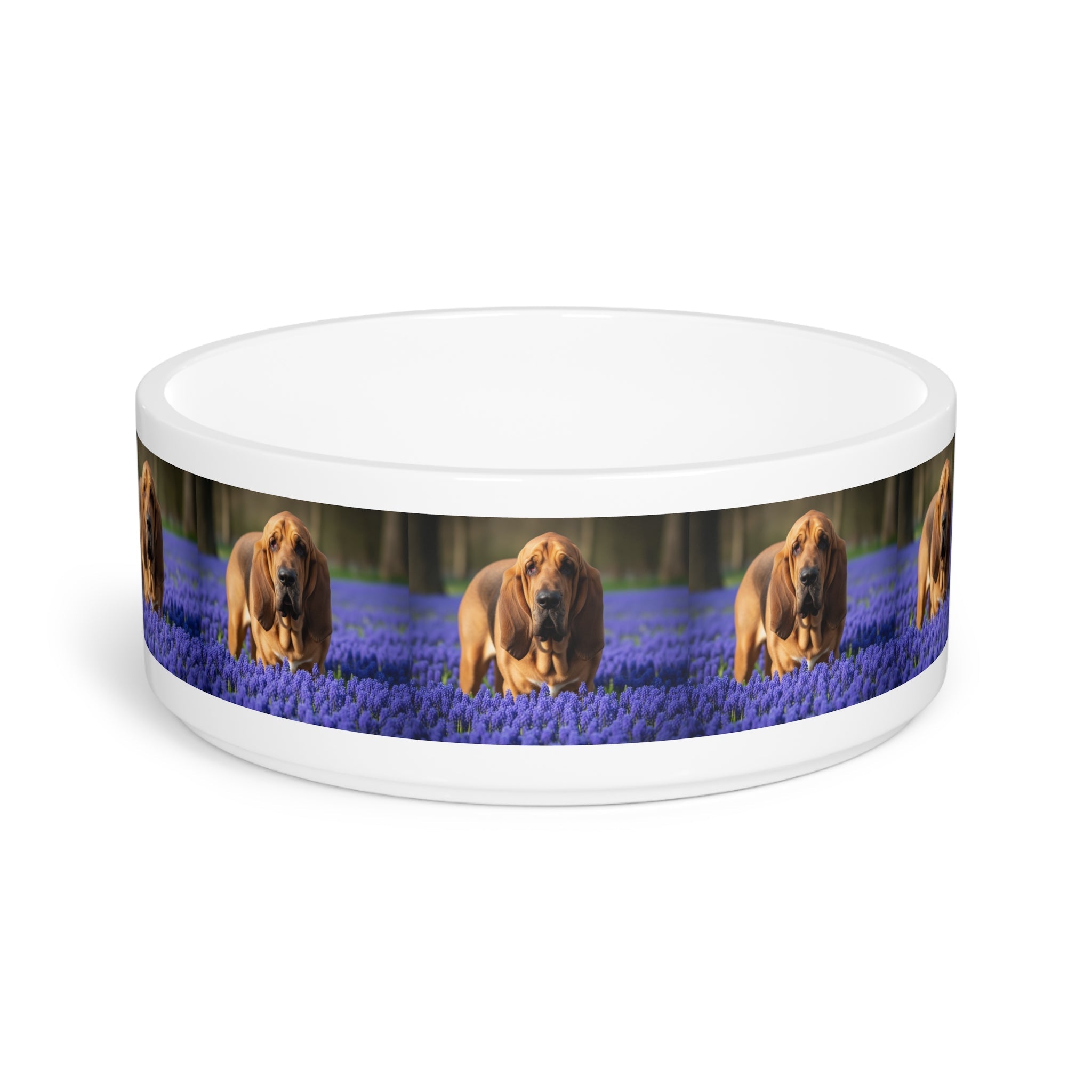 Ceramic Pet Bowl – 16 oz Dog Feeding Bowl