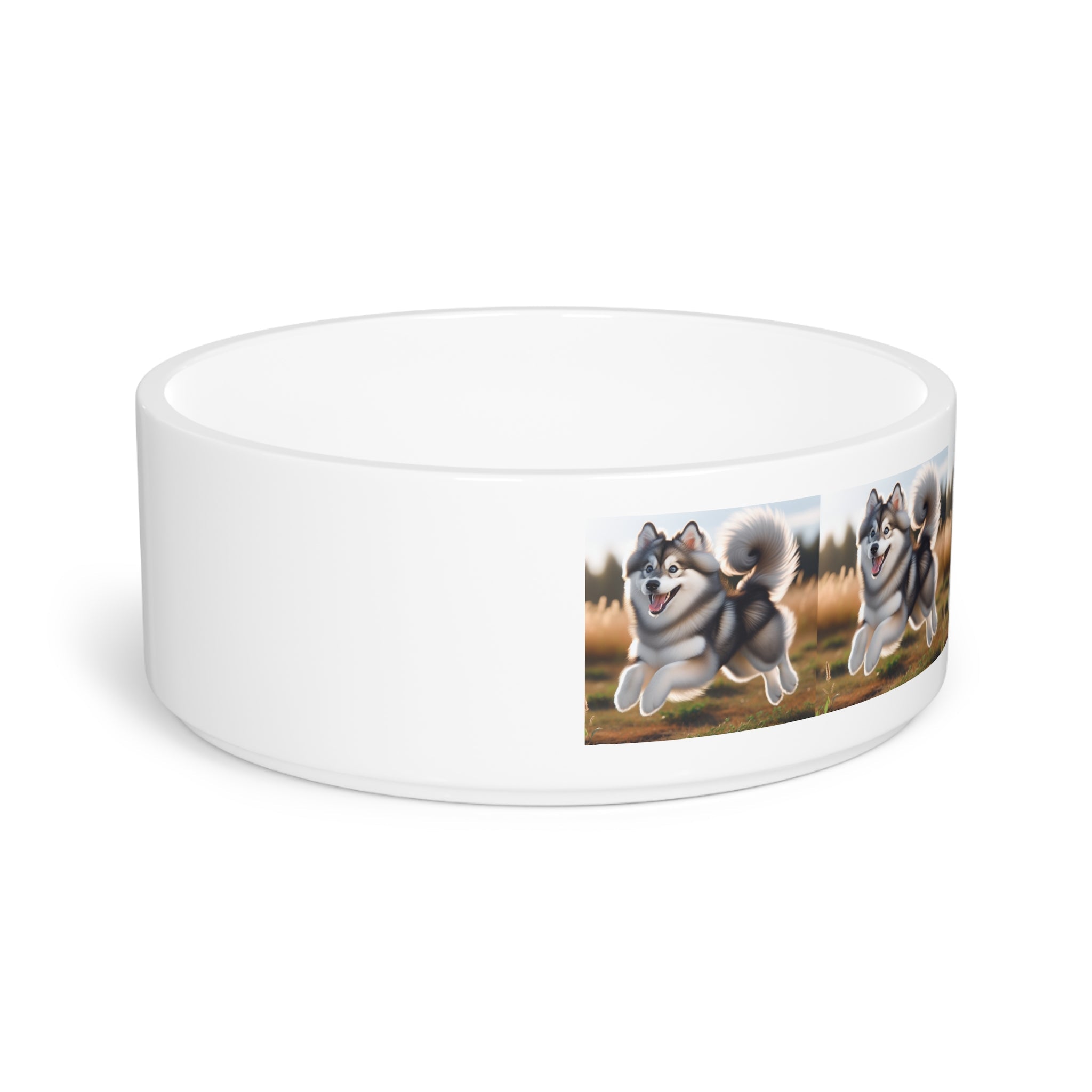 Ceramic Pet Bowl – 16 oz Dog Feeding Bowl