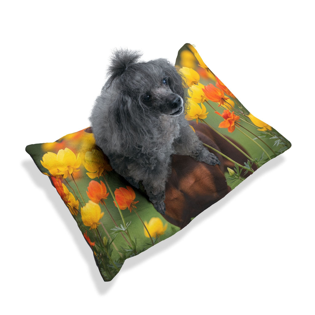 Pet Bed – Plush Dog Bed, 3 Size Options