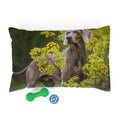 Pet Bed – Plush Dog Bed, 3 Size Options