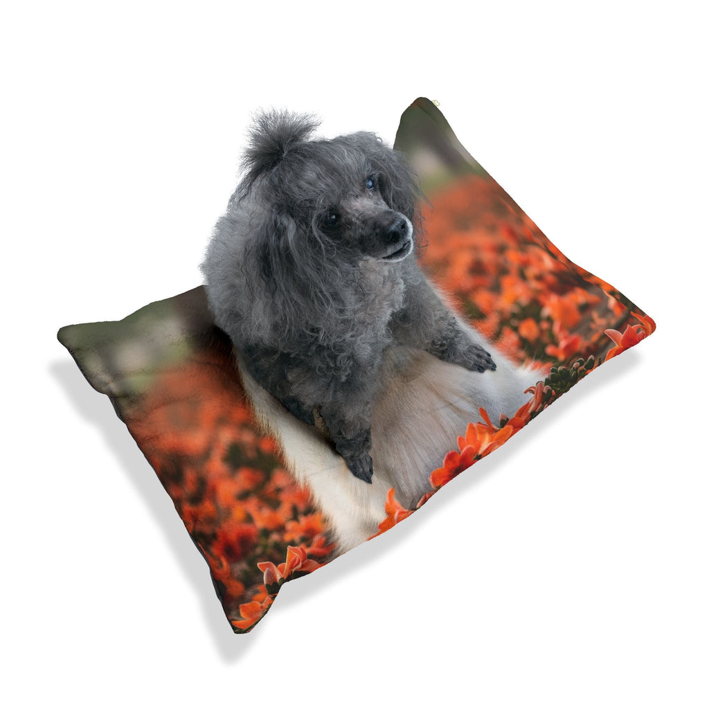 Pet Bed – Plush Dog Bed, 3 Size Options