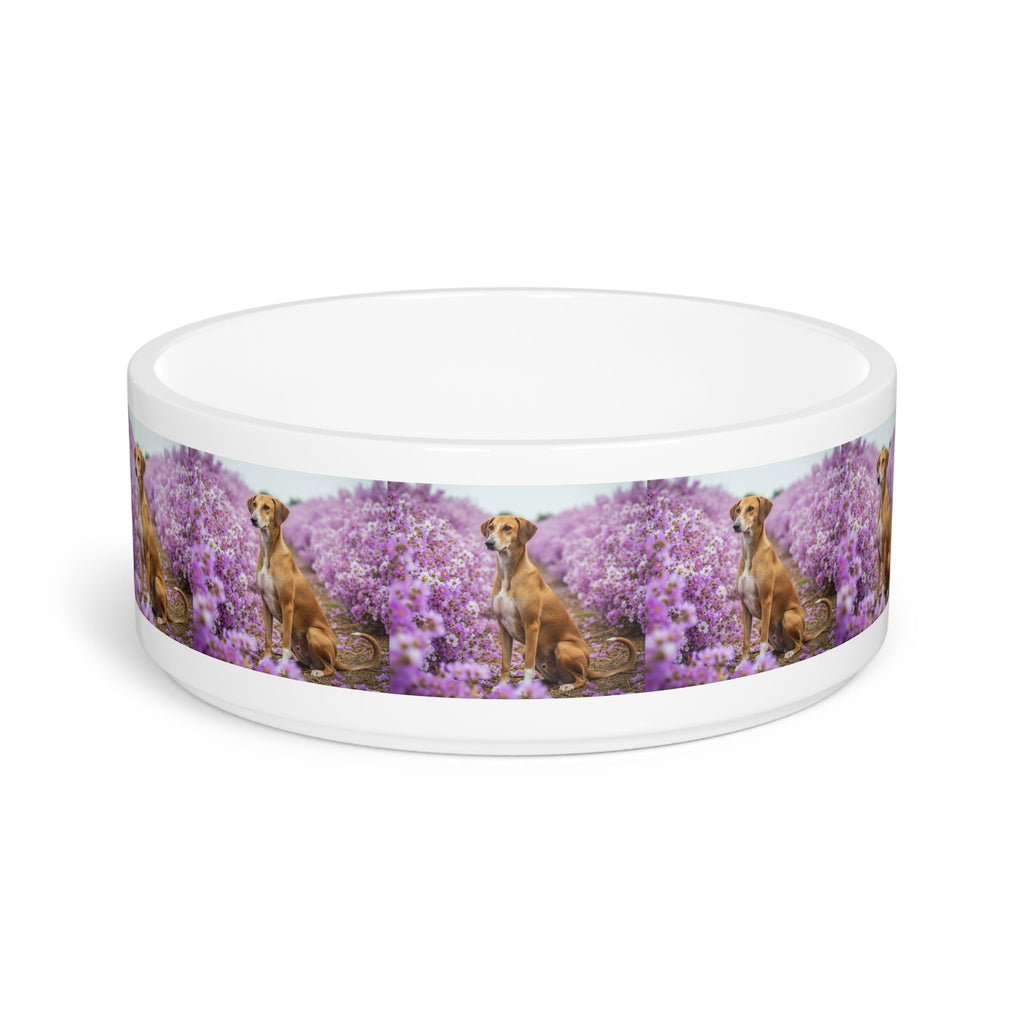 Ceramic Pet Bowl – 16 oz Dog Feeding Bowl