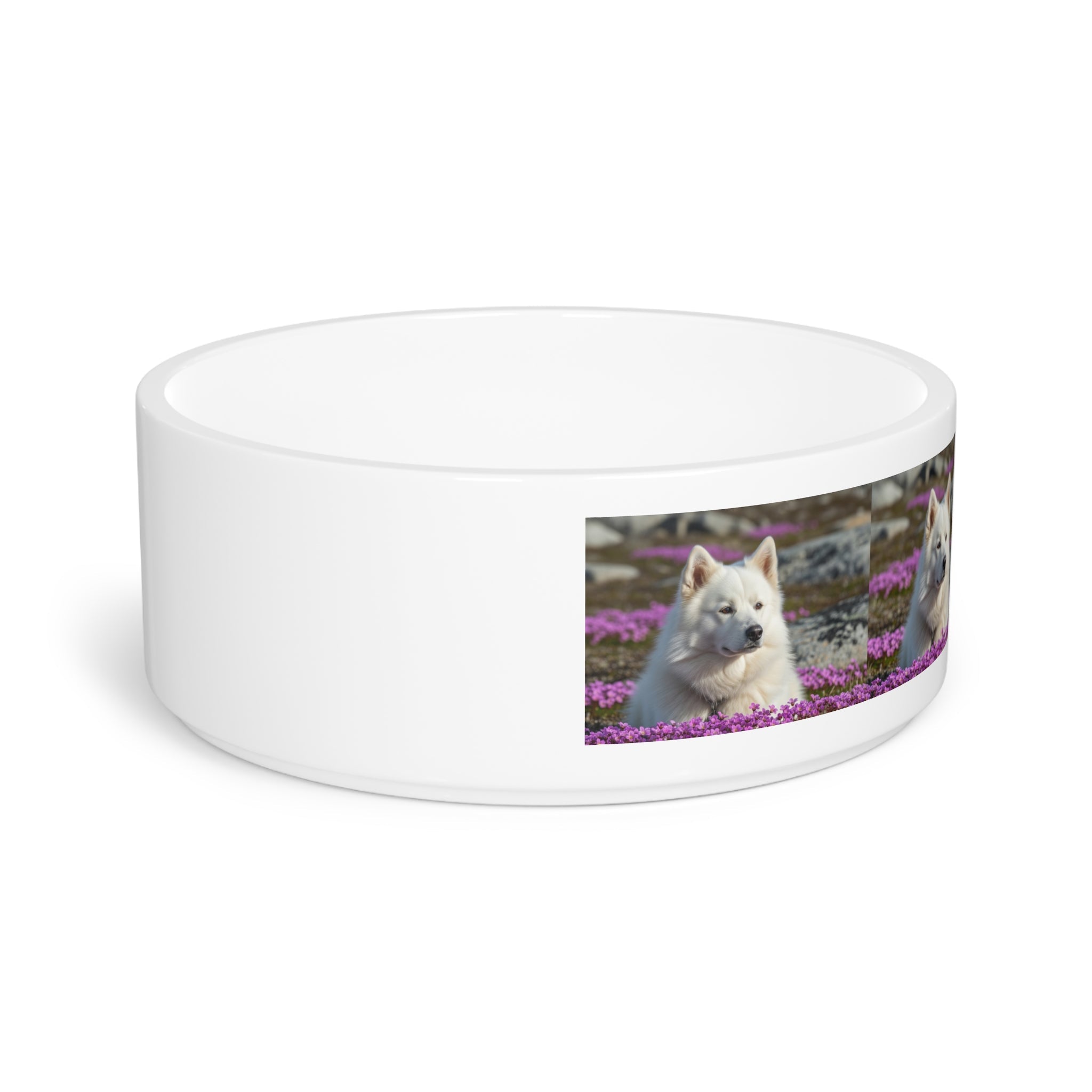 Ceramic Pet Bowl – 16 oz Dog Feeding Bowl