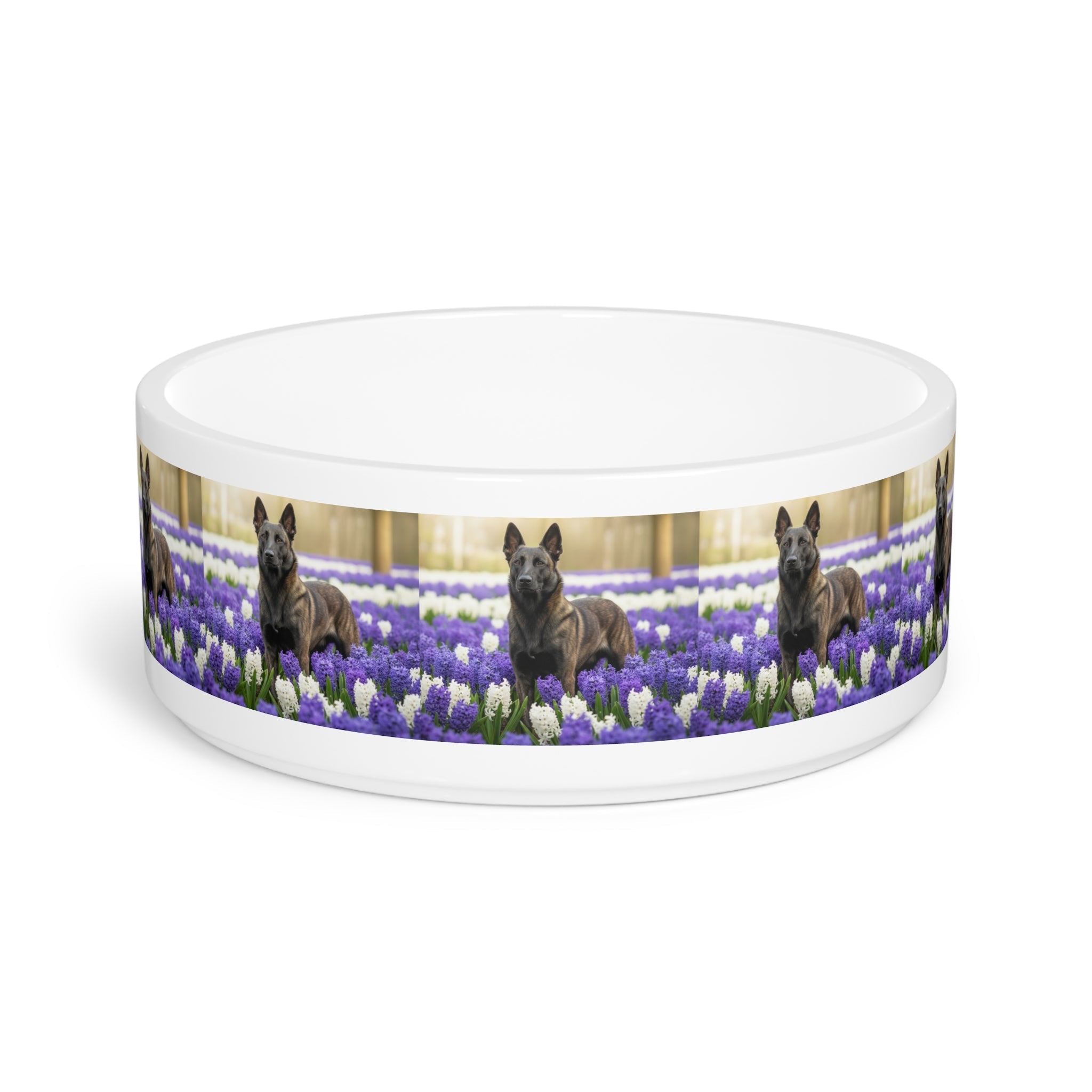 Ceramic Pet Bowl – 16 oz Dog Feeding Bowl