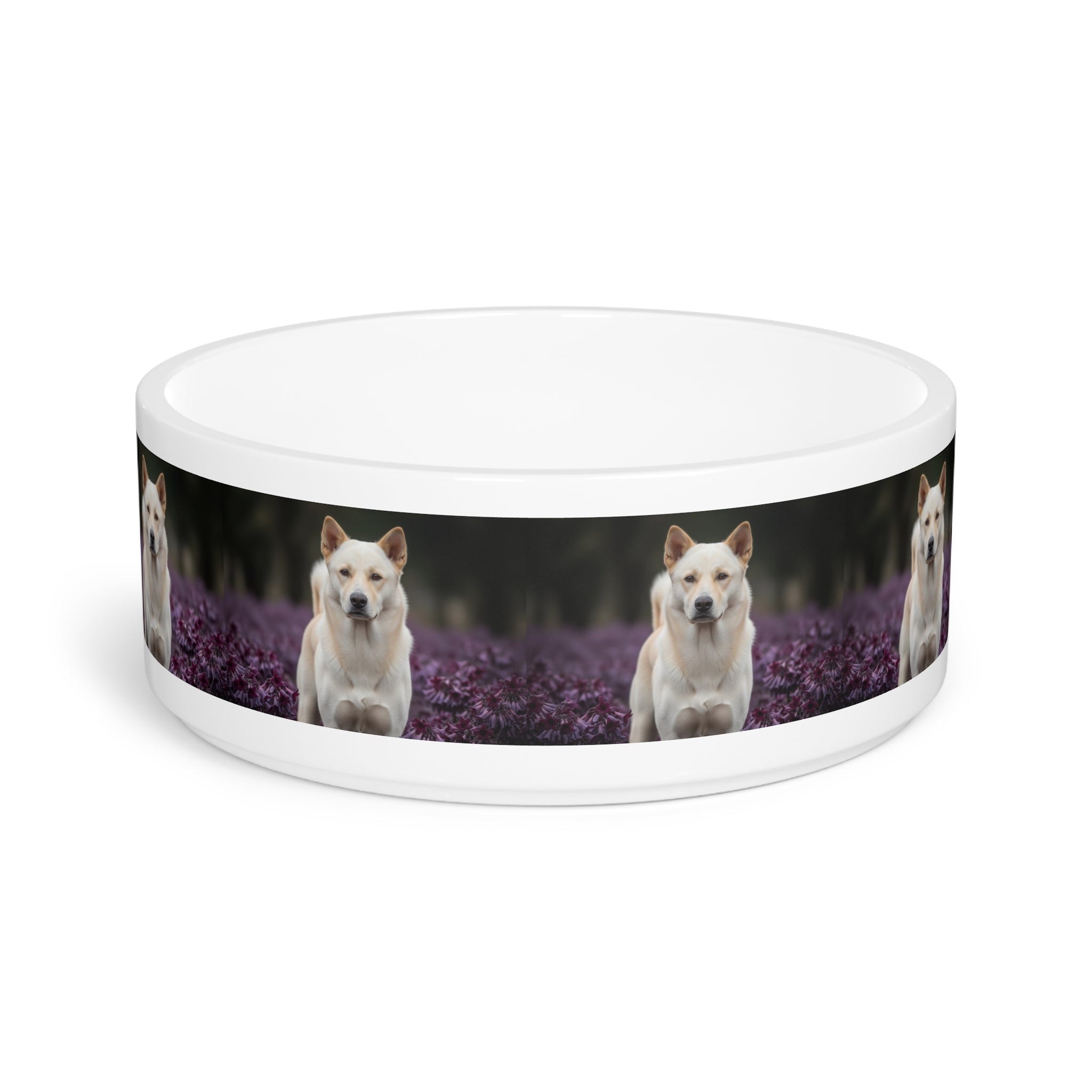 Ceramic Pet Bowl – 16 oz Dog Feeding Bowl