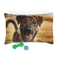 Pet Bed – Plush Dog Bed, 3 Size Options