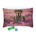 Pet Bed – Plush Dog Bed, 3 Size Options