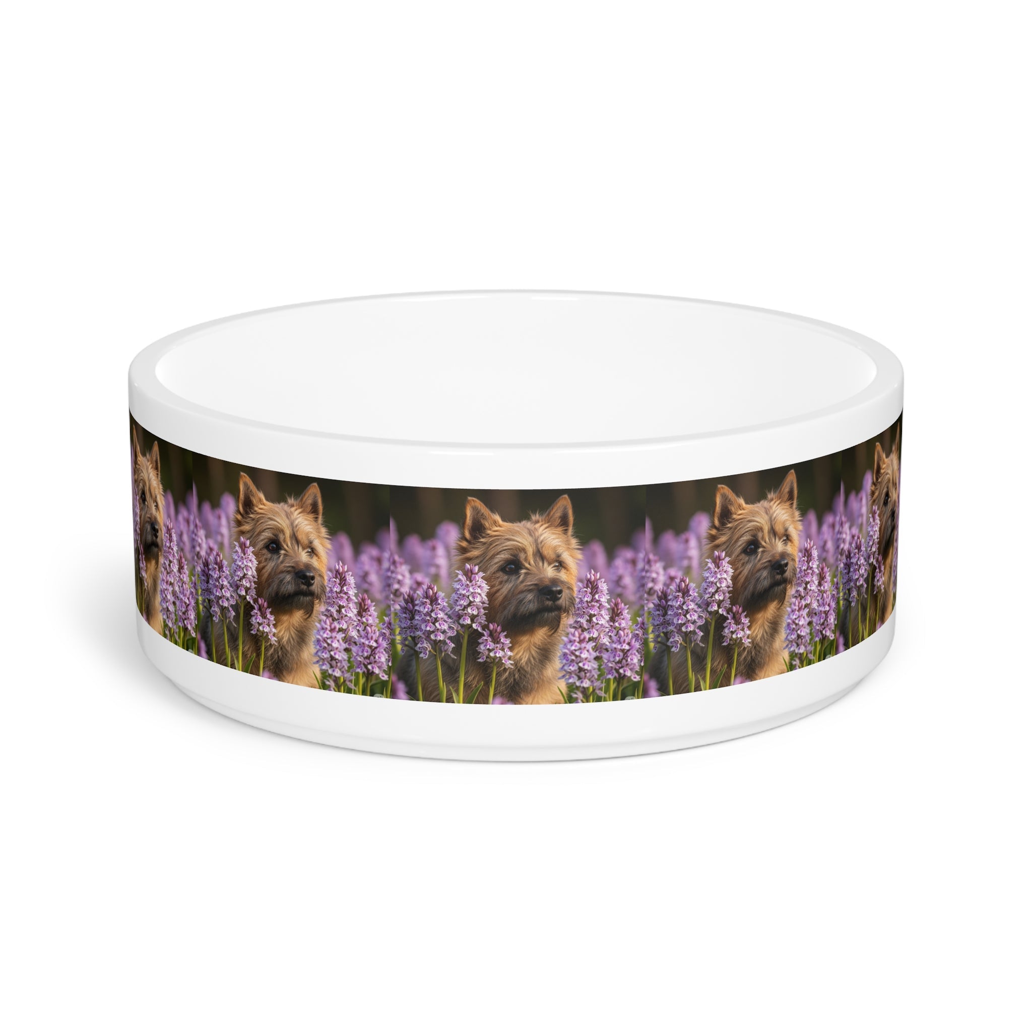Ceramic Pet Bowl – 16 oz Dog Feeding Bowl