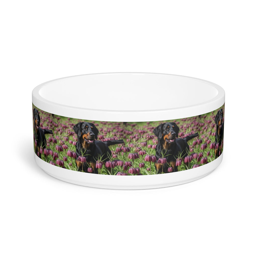Ceramic Pet Bowl – 16 oz Dog Feeding Bowl