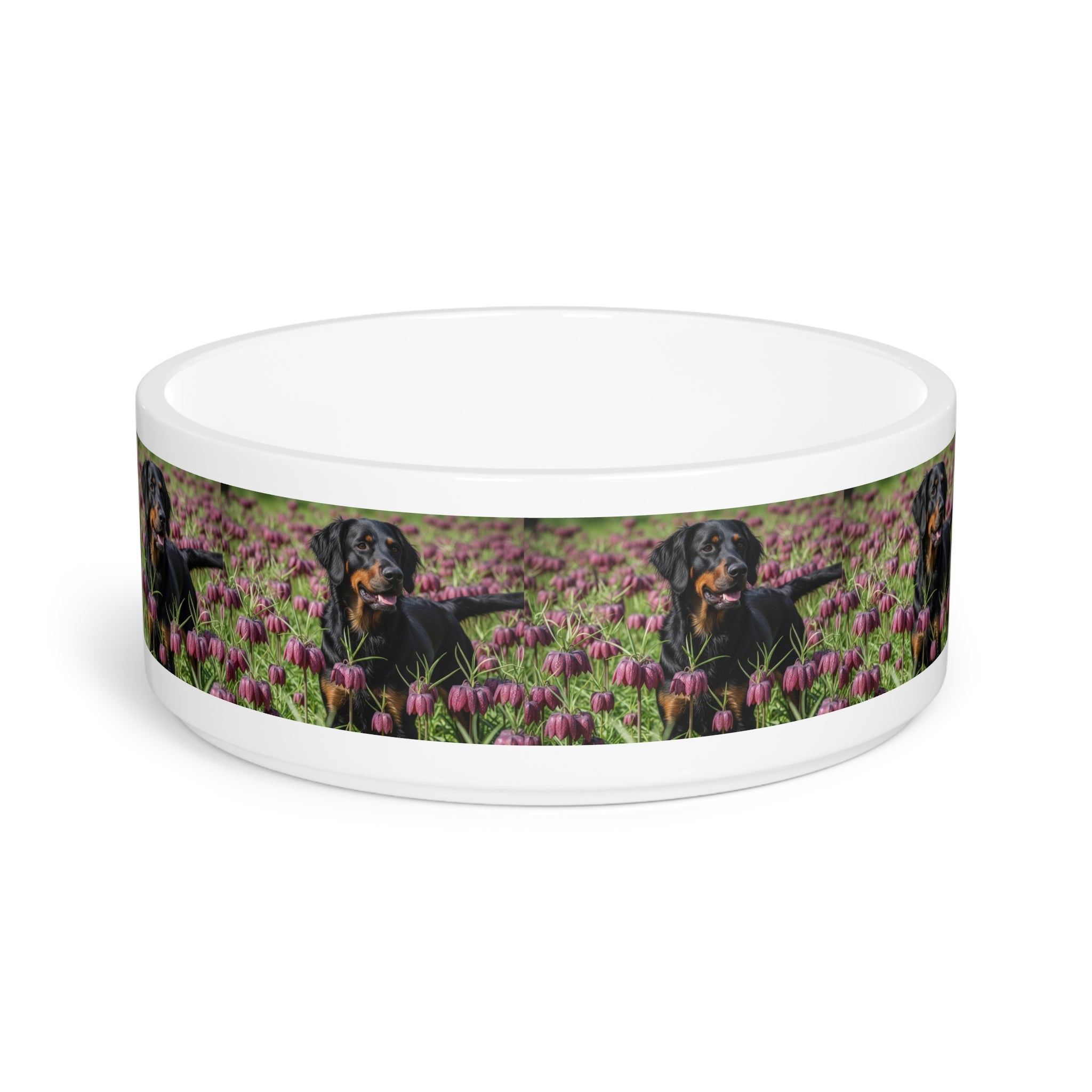 Ceramic Pet Bowl – 16 oz Dog Feeding Bowl