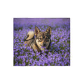 Sweatshirt Blanket – Plush Fleece Throw, 2 Size Options