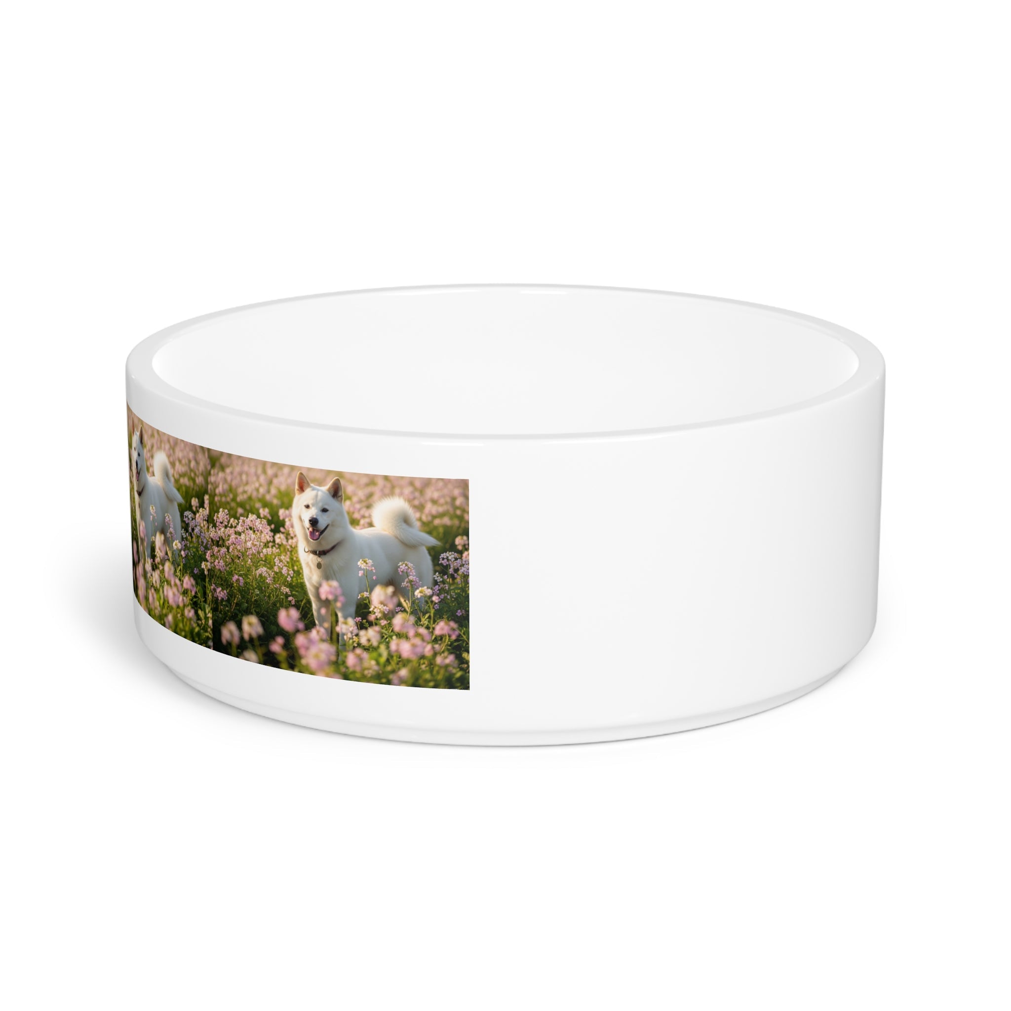 Ceramic Pet Bowl – 16 oz Dog Feeding Bowl
