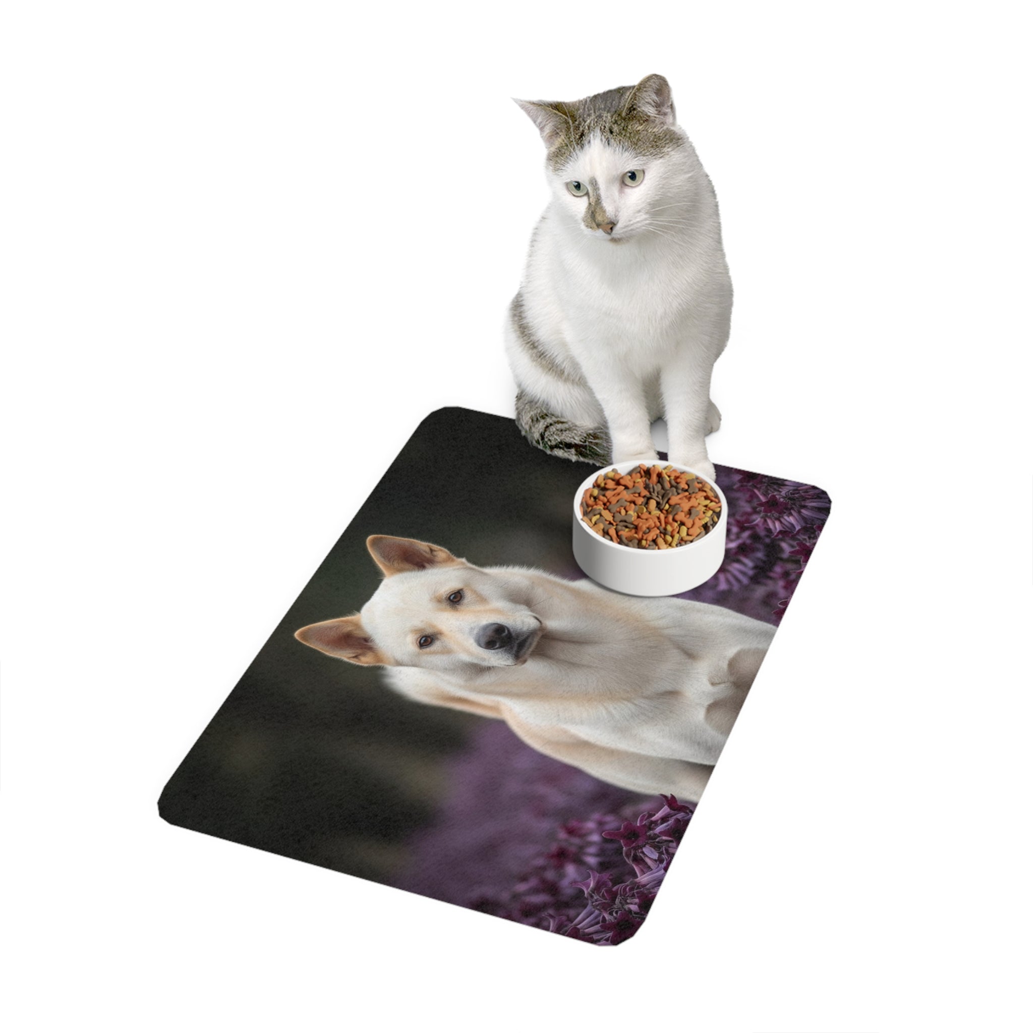 Non-Slip Pet Food Mat – Waterproof Feeding Mat for Dogs