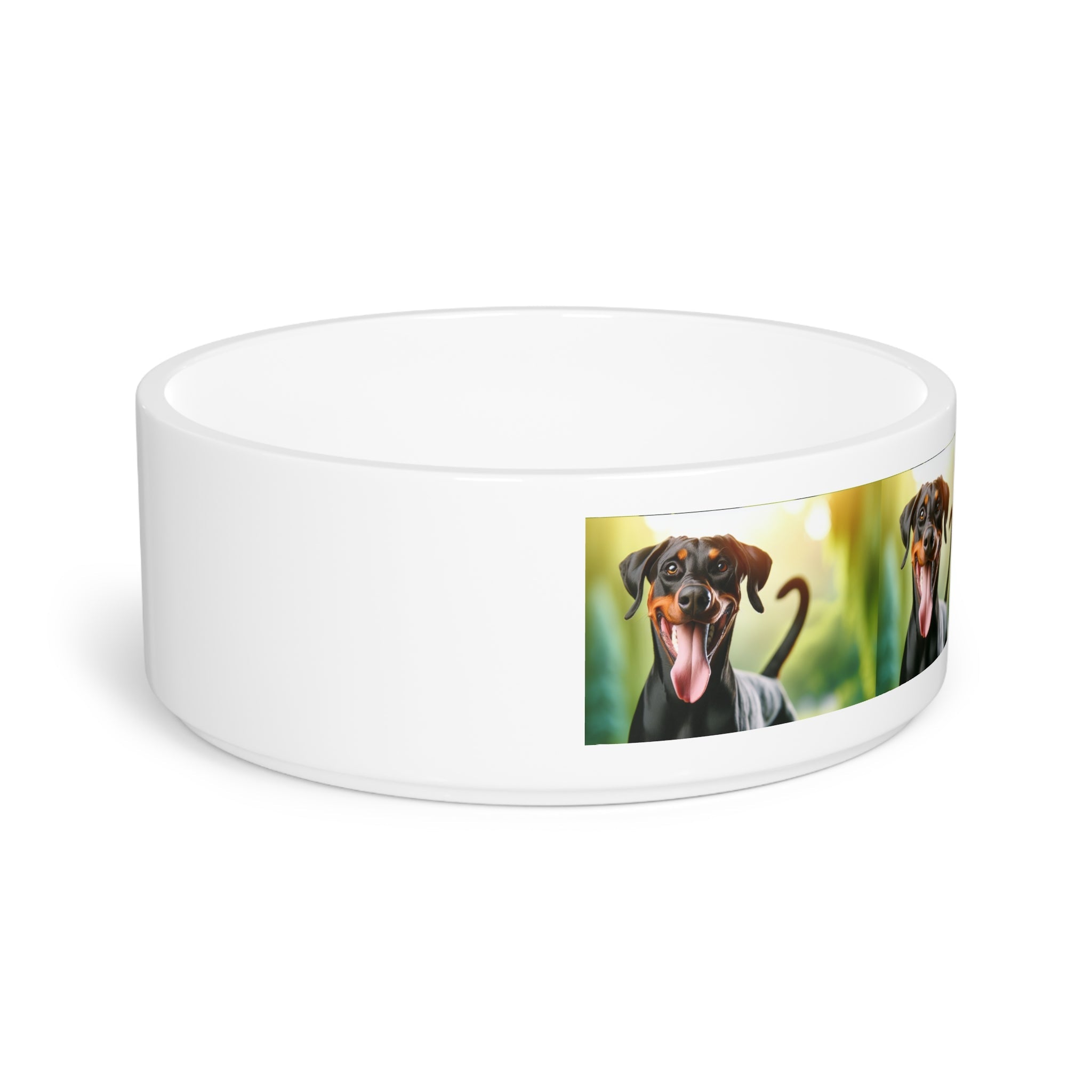 Ceramic Pet Bowl – 16 oz Dog Feeding Bowl
