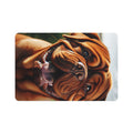 Non-Slip Pet Food Mat – Waterproof Feeding Mat for Dogs