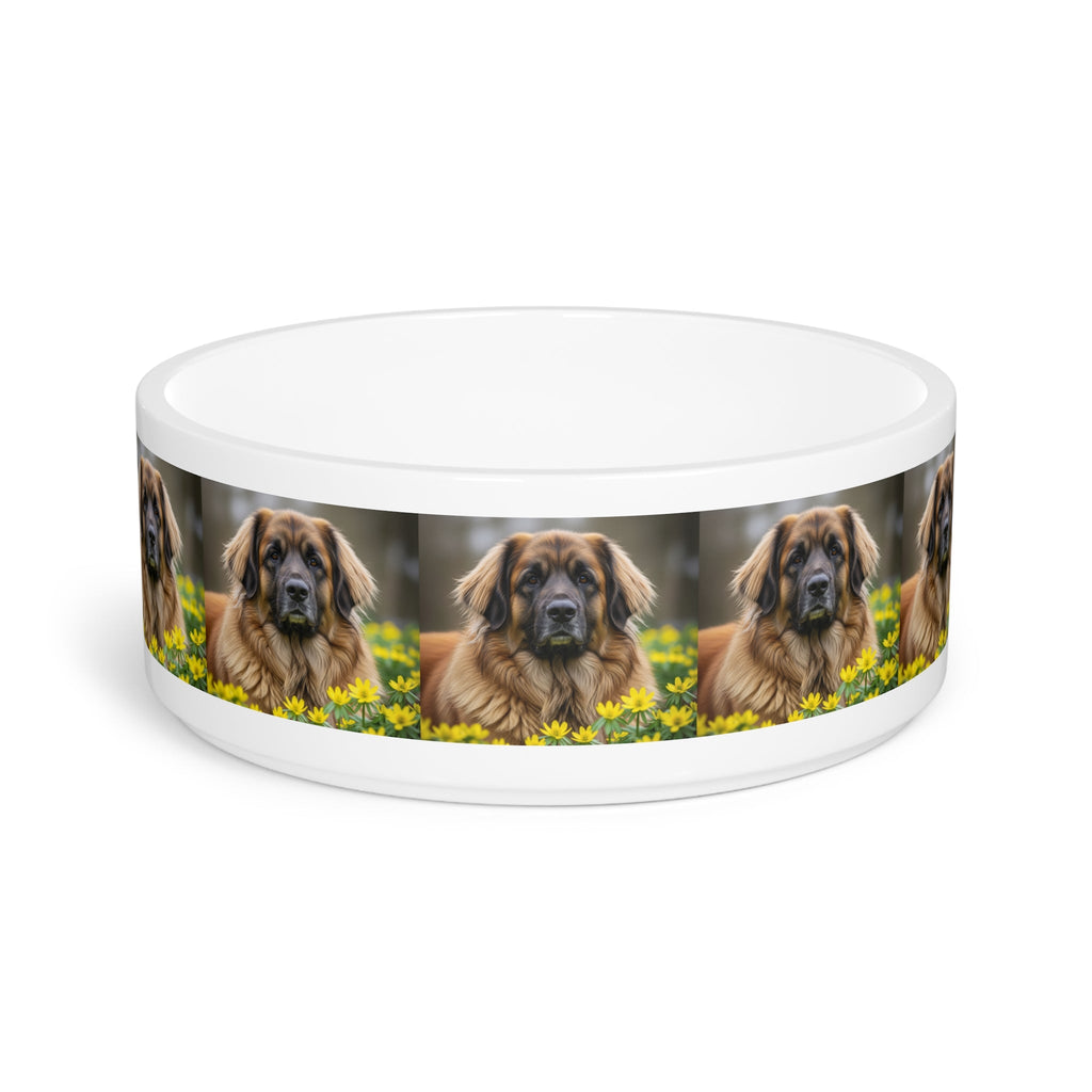 Ceramic Pet Bowl – 16 oz Dog Feeding Bowl