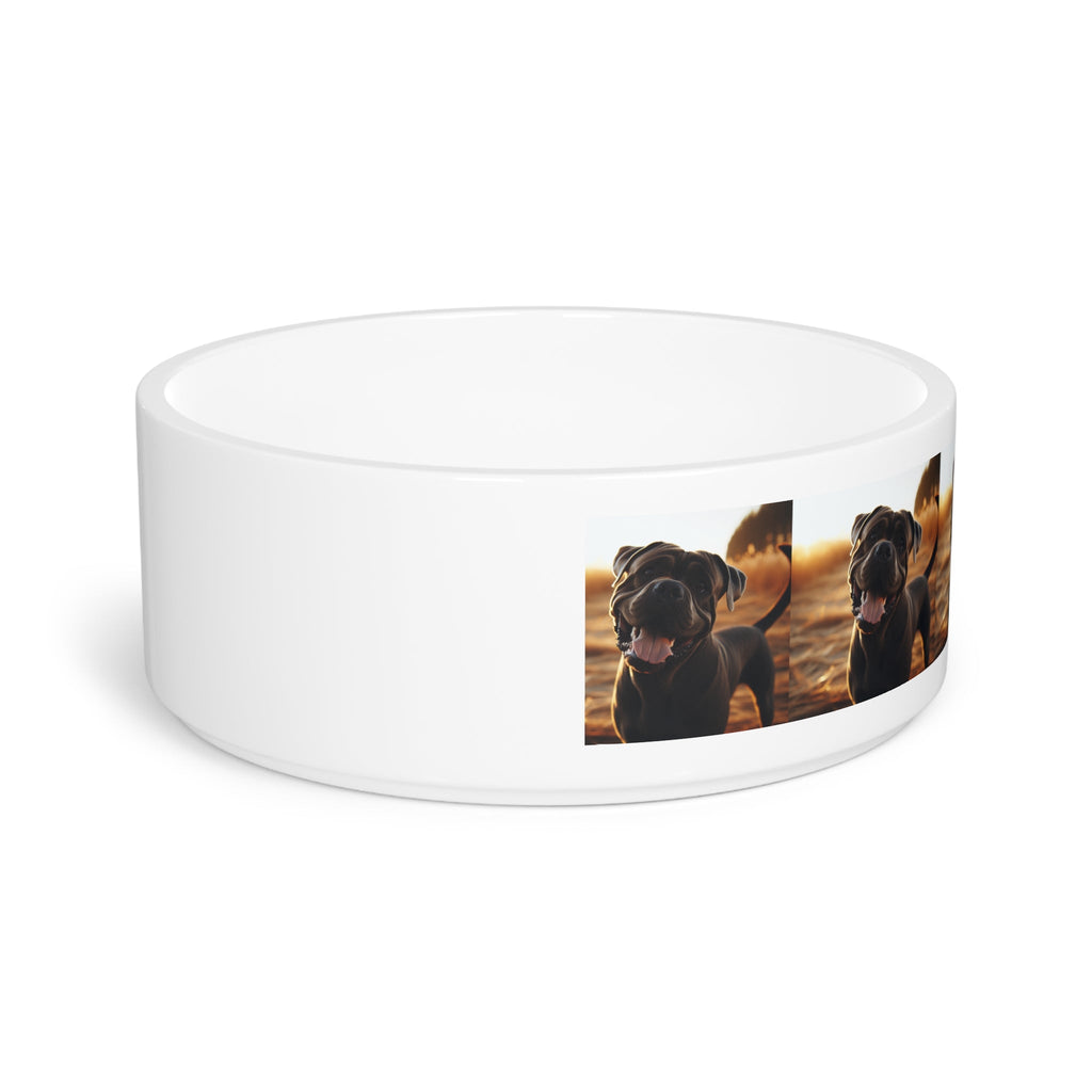 Ceramic Pet Bowl – 16 oz Dog Feeding Bowl
