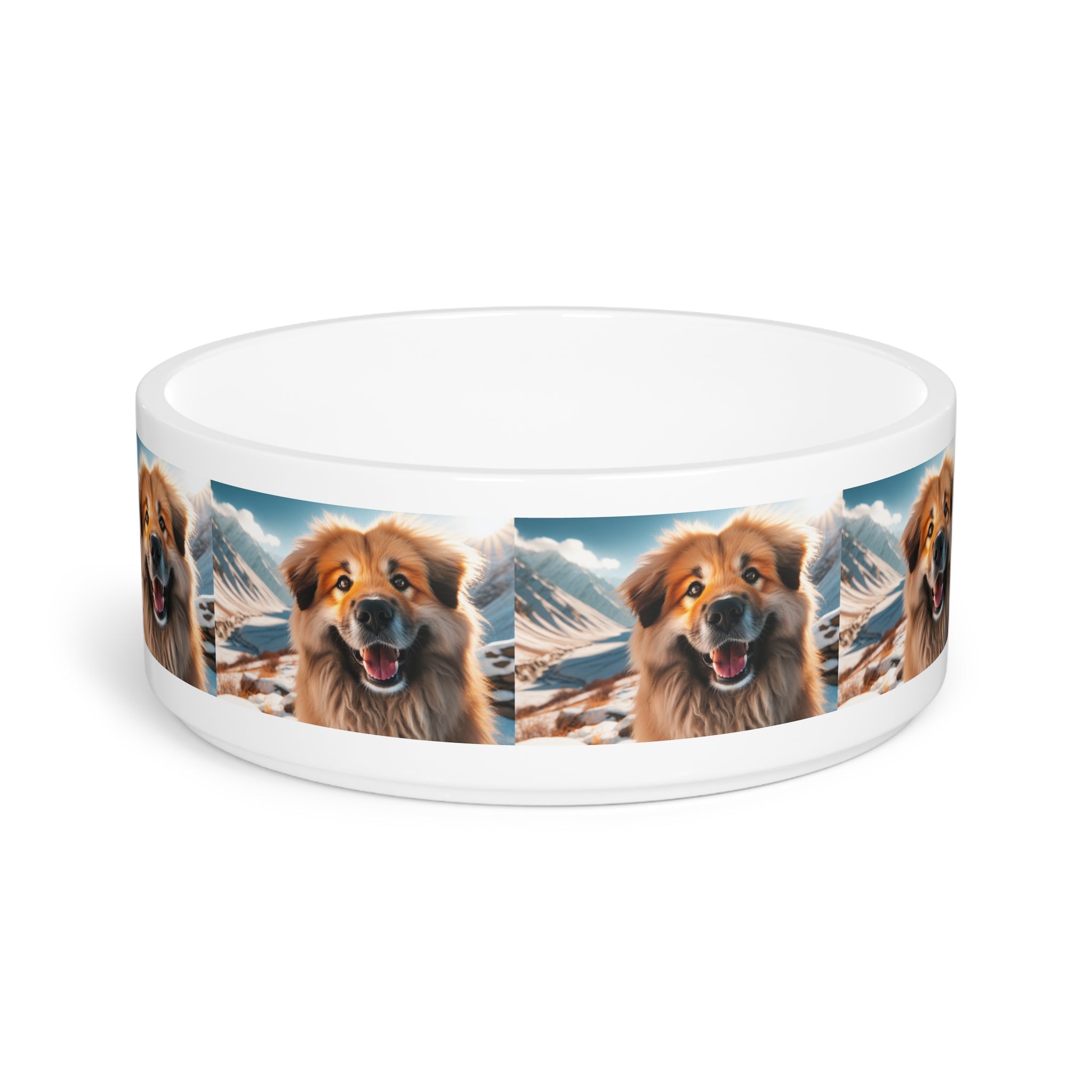 Ceramic Pet Bowl – 16 oz Dog Feeding Bowl