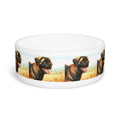 Ceramic Pet Bowl – 16 oz Dog Feeding Bowl