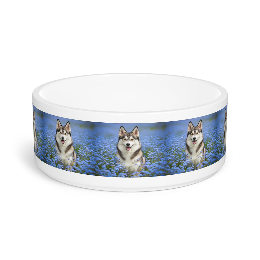 Ceramic Pet Bowl – 16 oz Dog Feeding Bowl