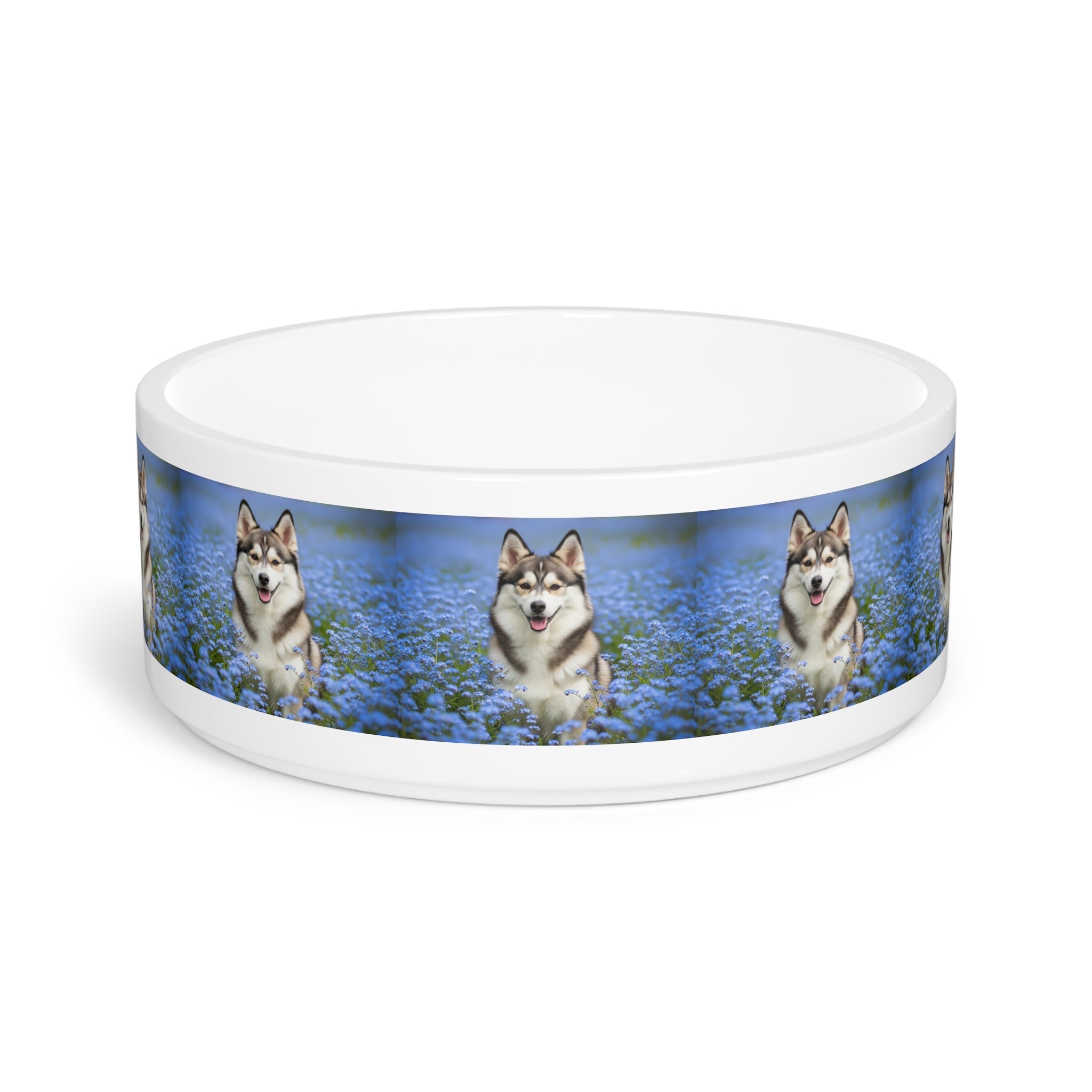 Ceramic Pet Bowl – 16 oz Dog Feeding Bowl