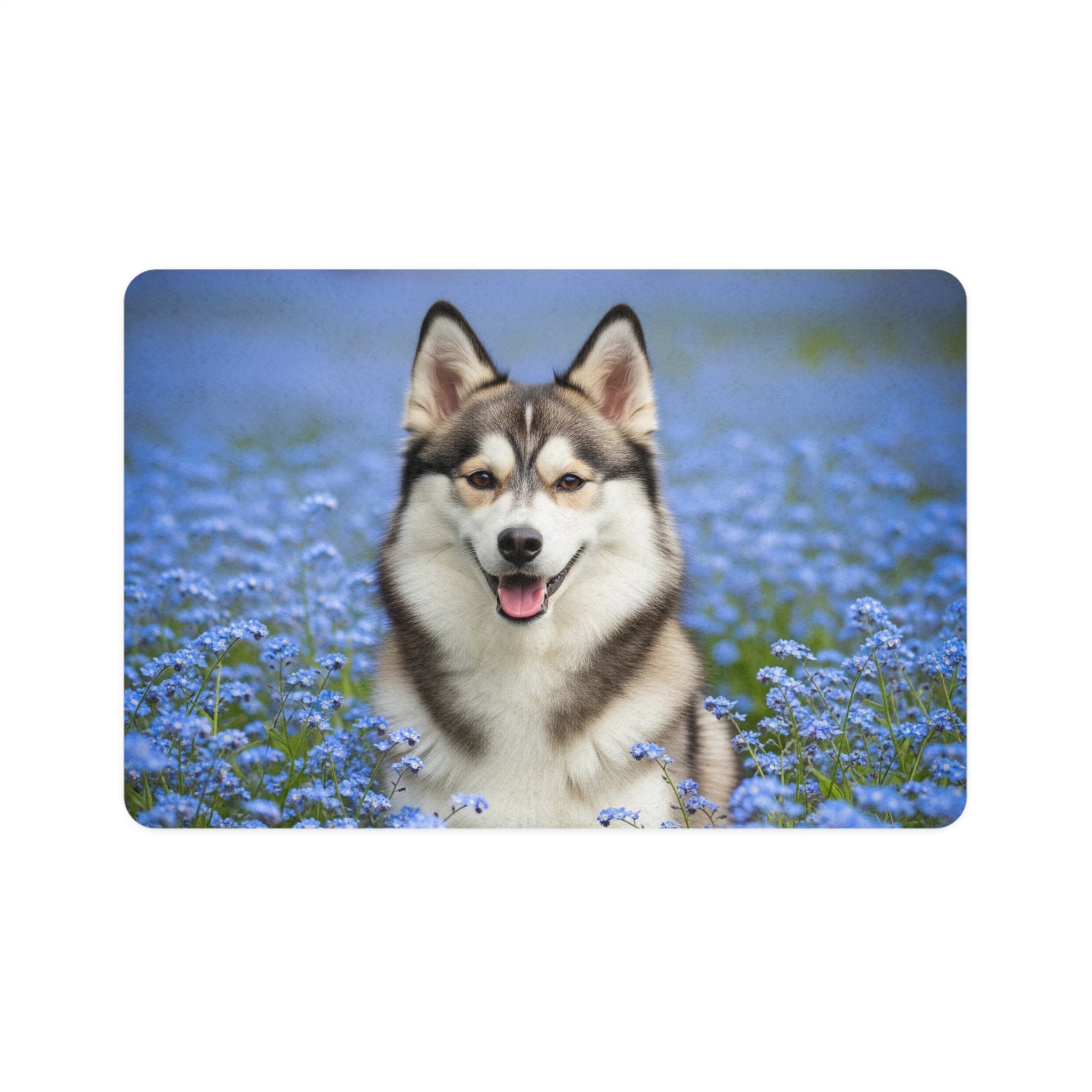 Non-Slip Pet Food Mat – Waterproof Feeding Mat for Dogs