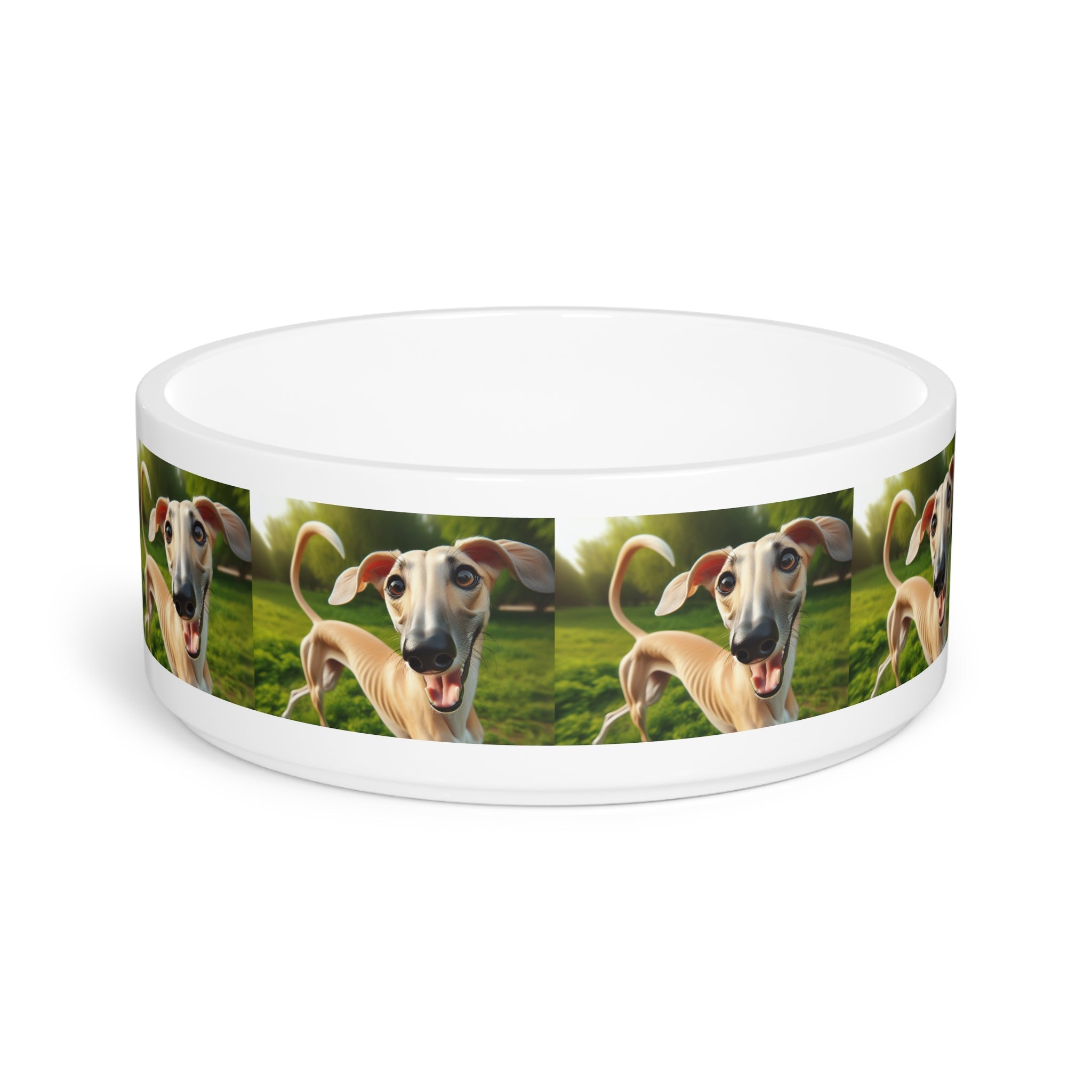 Ceramic Pet Bowl – 16 oz Dog Feeding Bowl