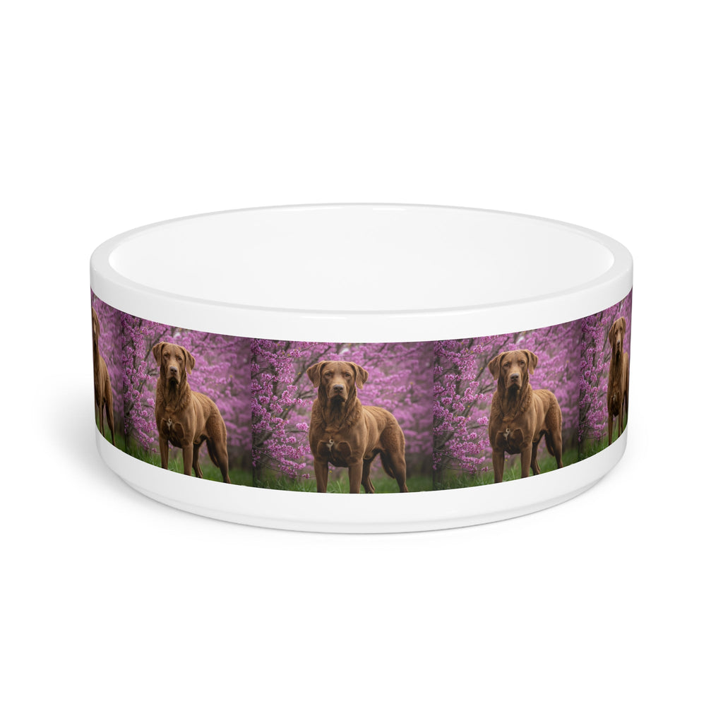 Ceramic Pet Bowl – 16 oz Dog Feeding Bowl